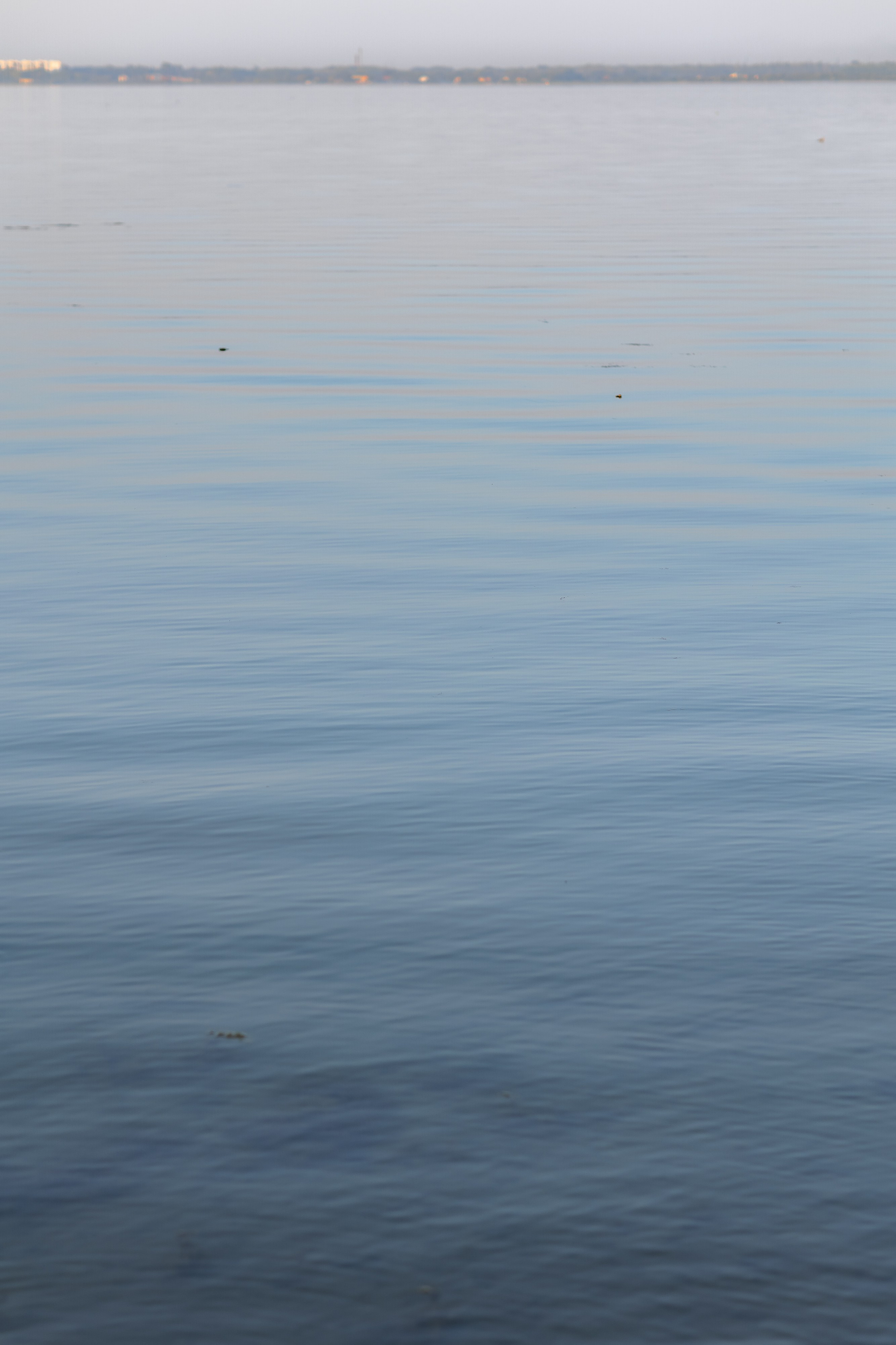 Владислав & Юлия. Свадебный фотограф Виктория Карпова