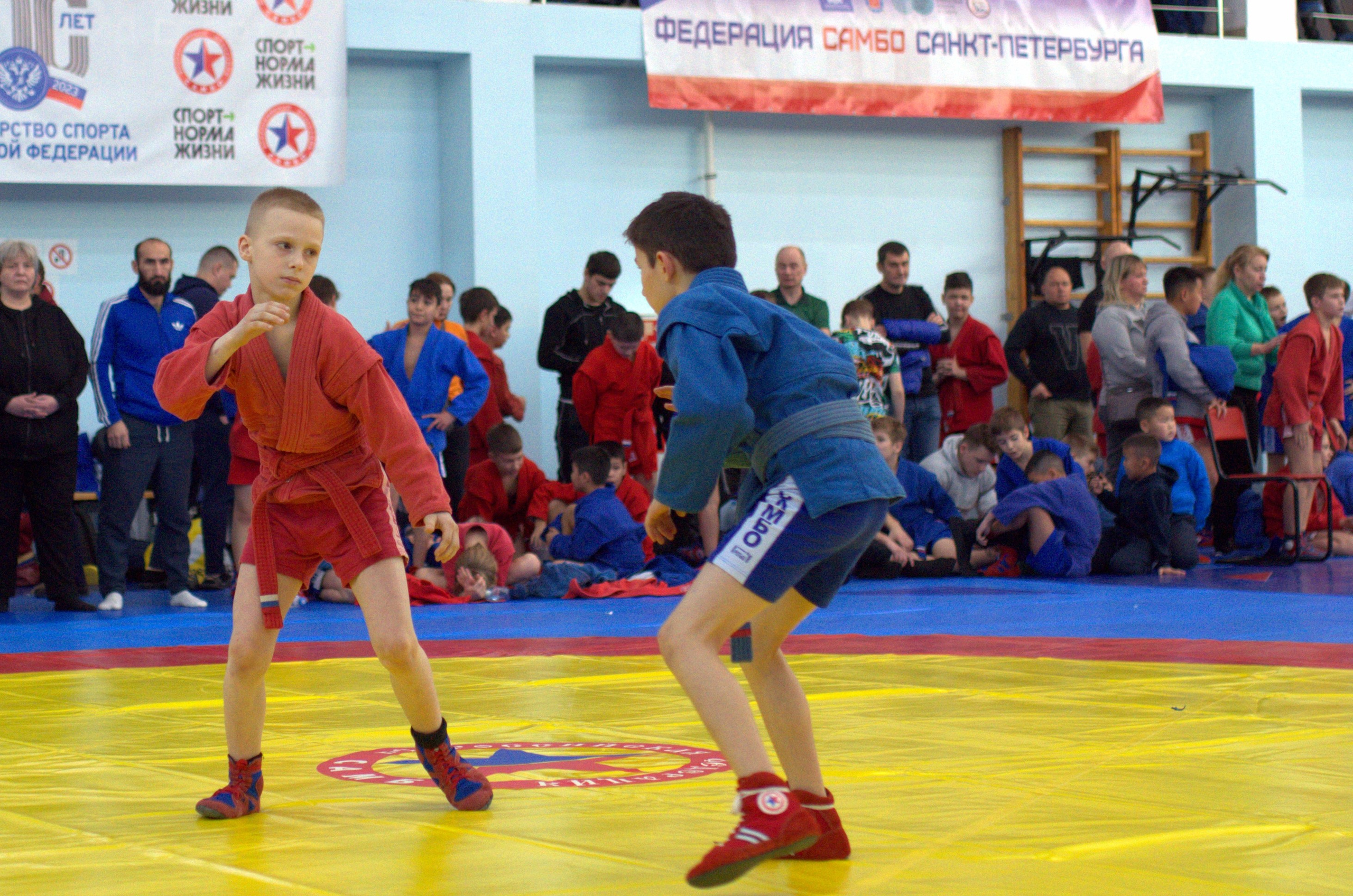 Самбо. Турнир к дню самбо. Фото детских спортивных мероприятий и всякое интересное через объектив