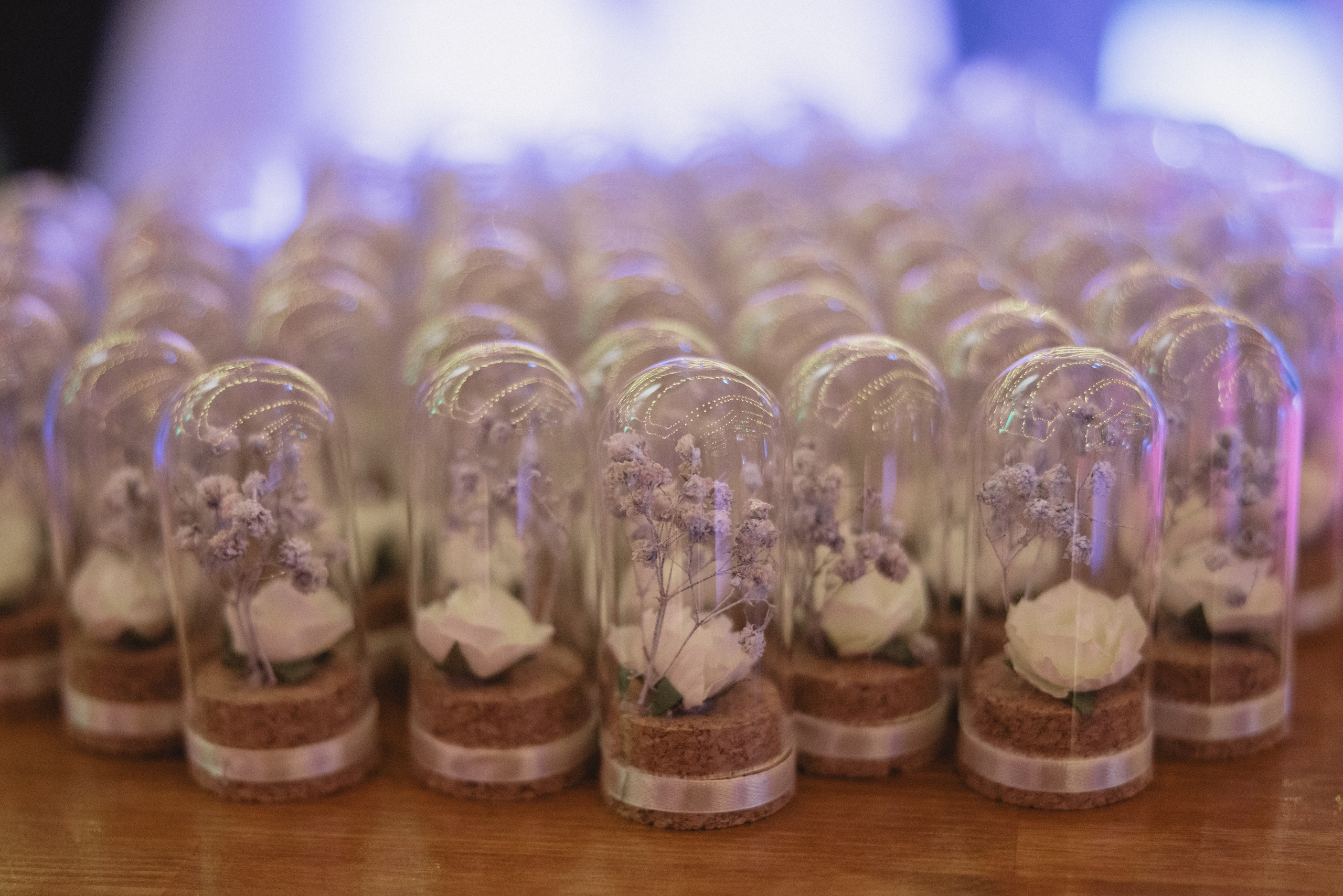 Михаил & Лусине