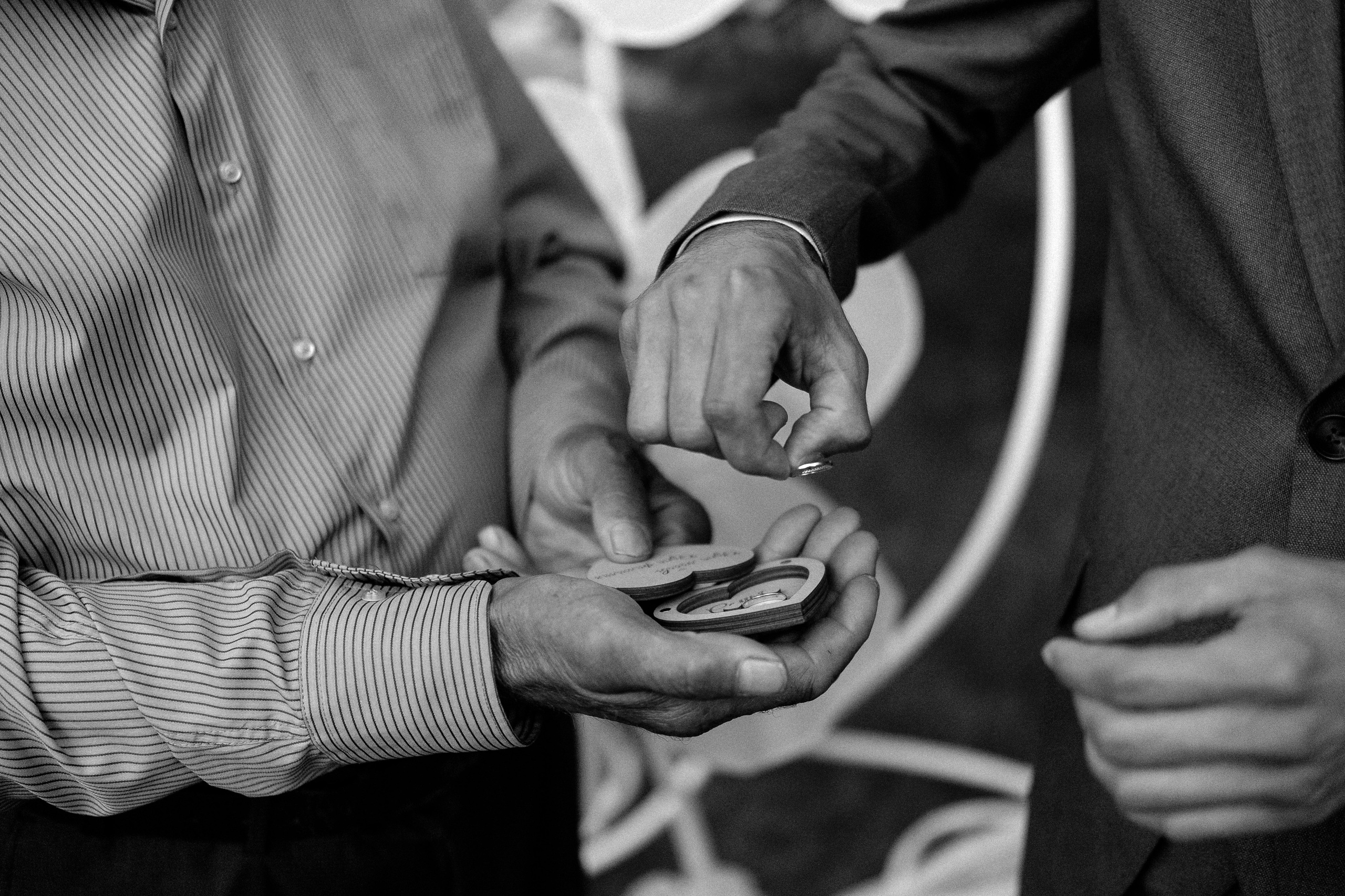 Алексеевское. Свадебный и семейный фотограф в Казани и Зеленодольске Ланочкин Илья