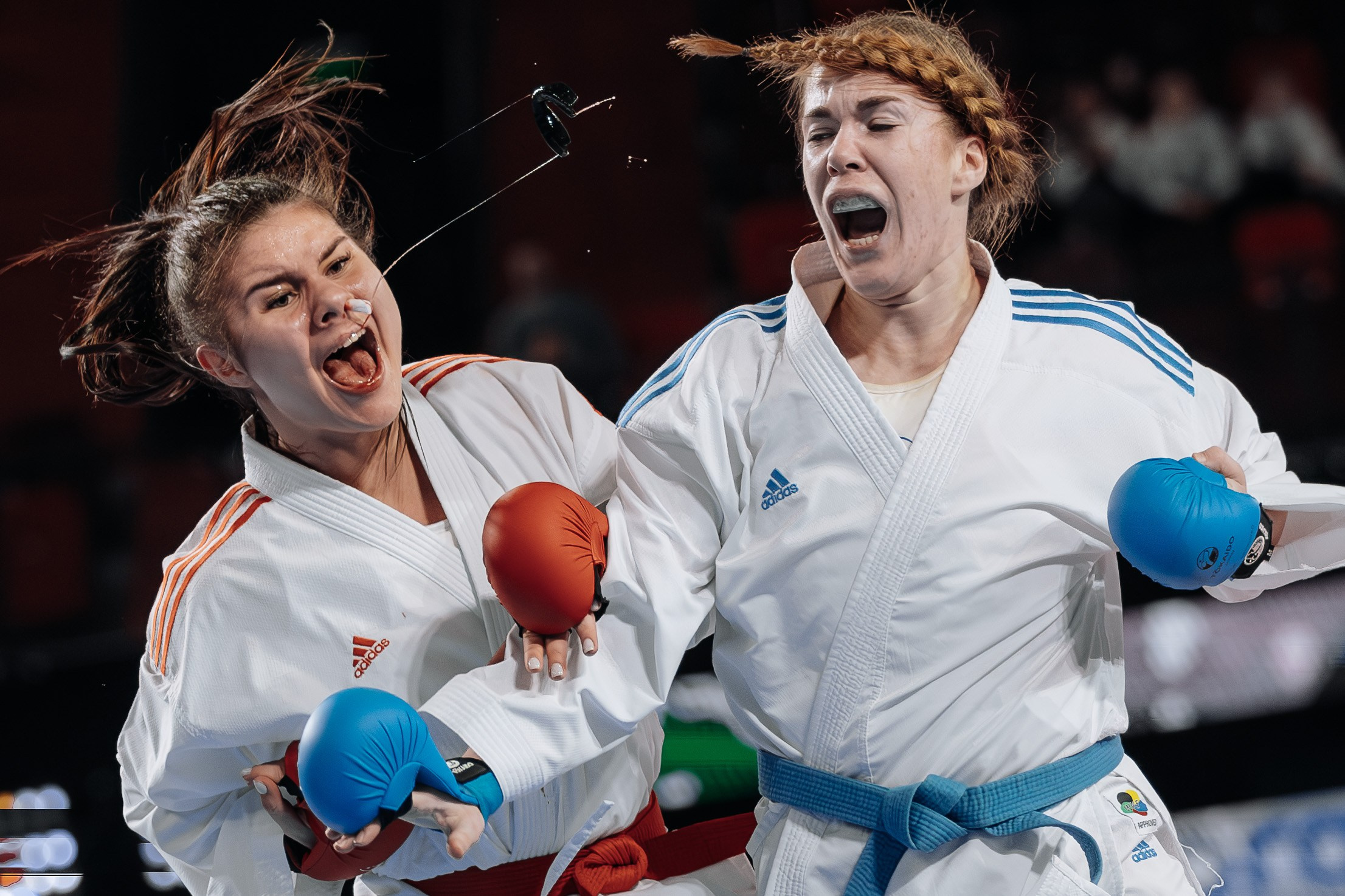 Канадский Степан