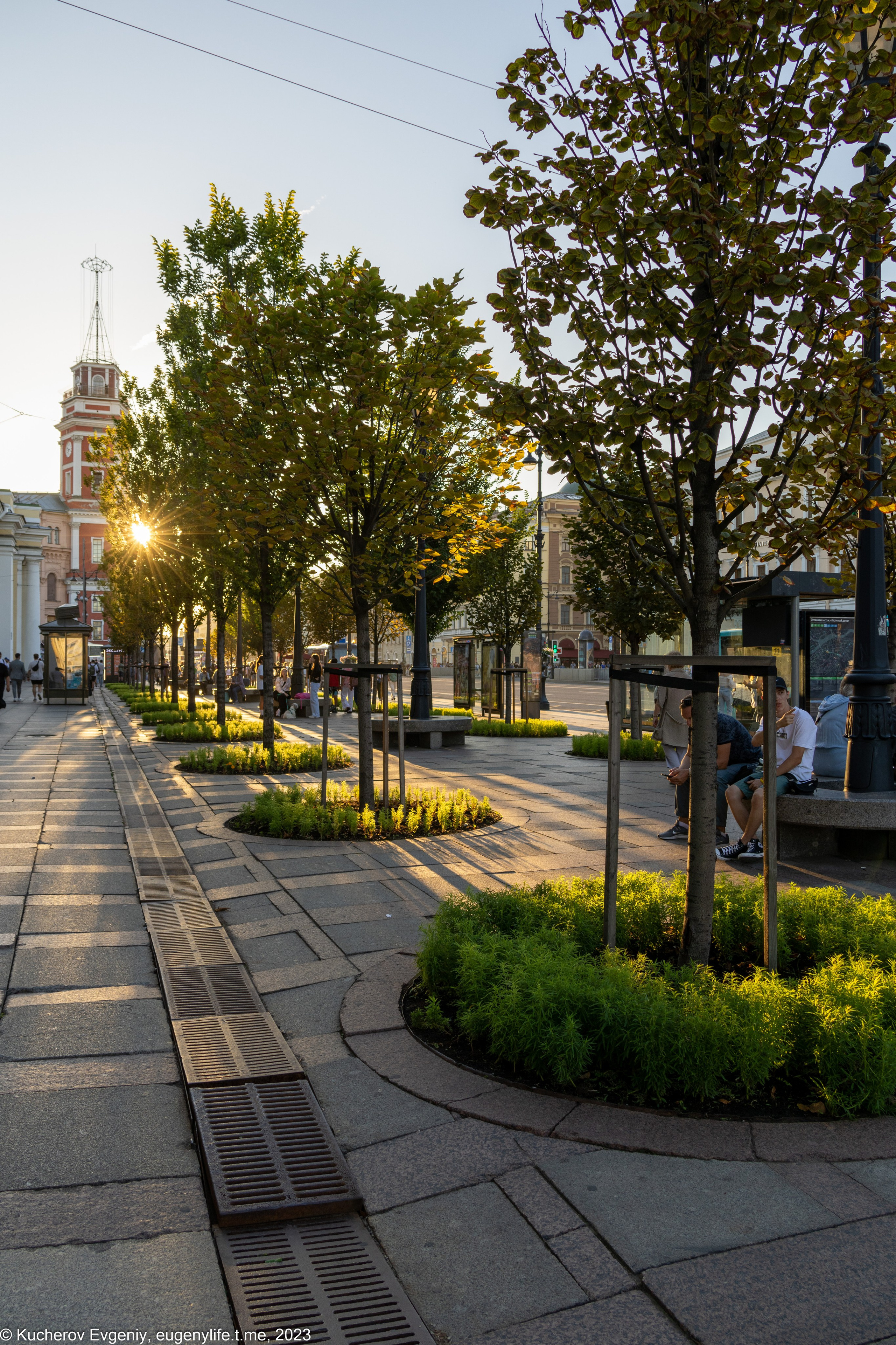 Скамейки. Кучеров Евгений. Фотограф