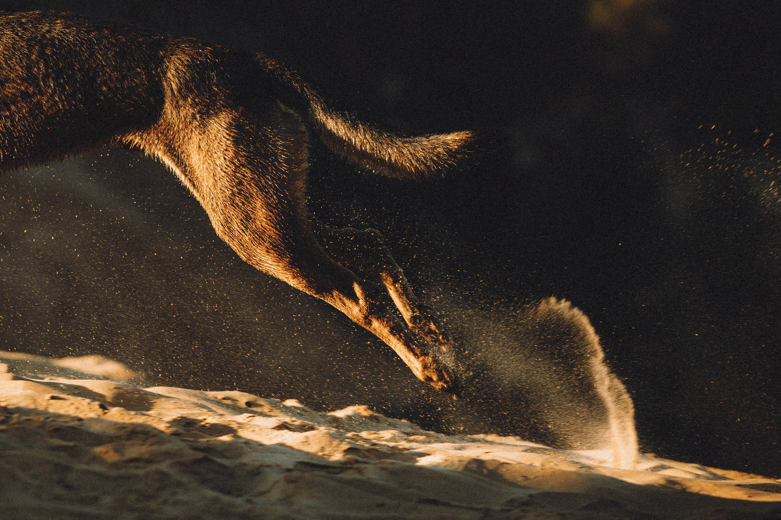 Таня, Ерш и Оллик