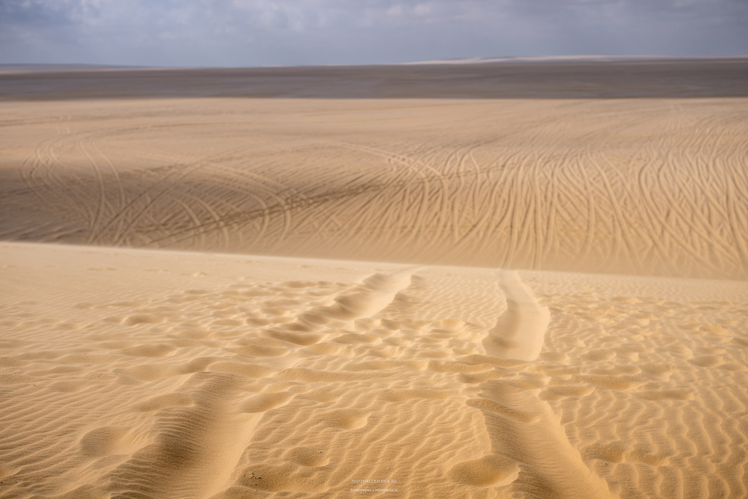 Снова в пустыню, за скелетами…. Авторские стильные фотокартины