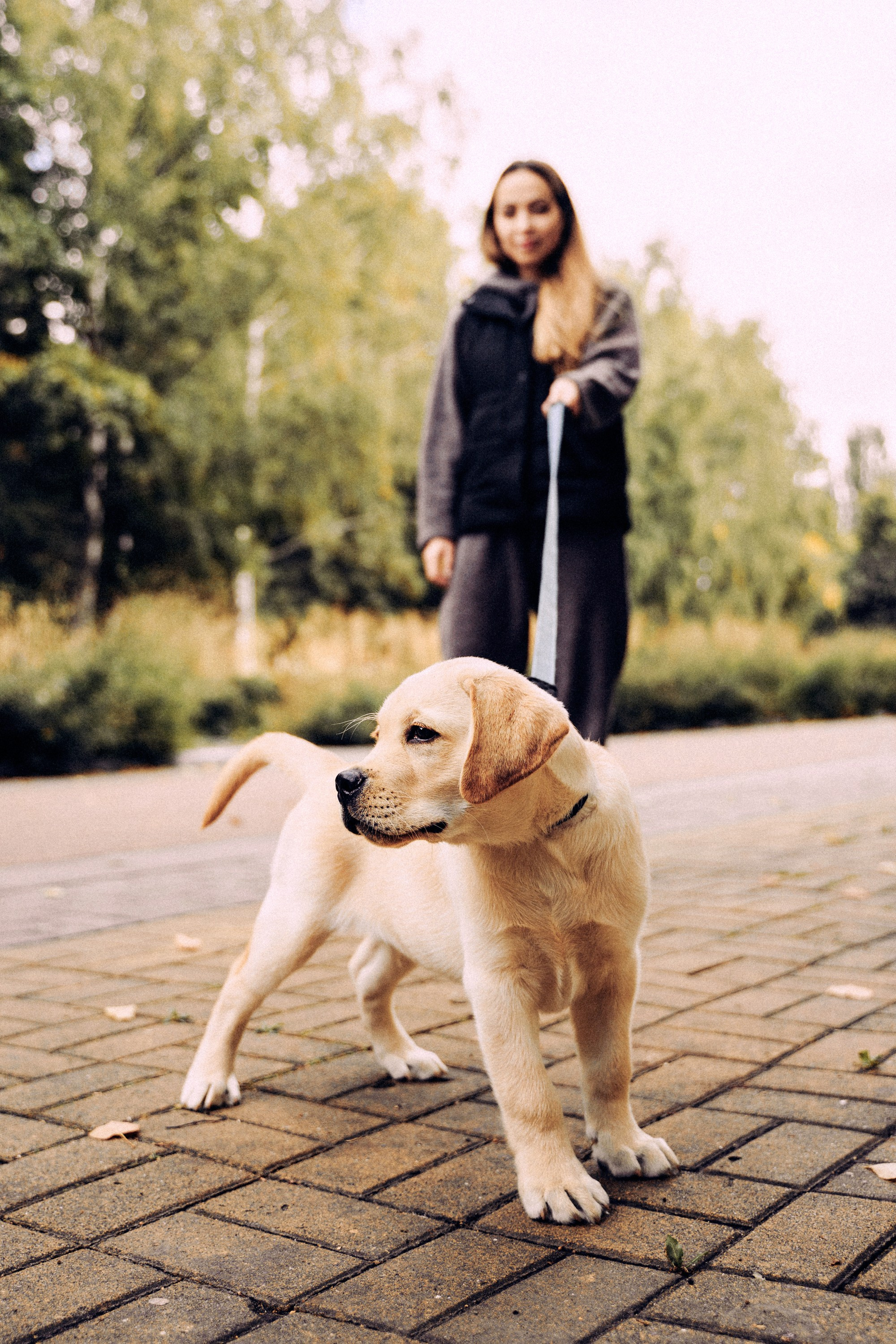 Золотой малыш. Фотограф-анималист, портретный фотограф в Чебоксарах Мария Садыкова