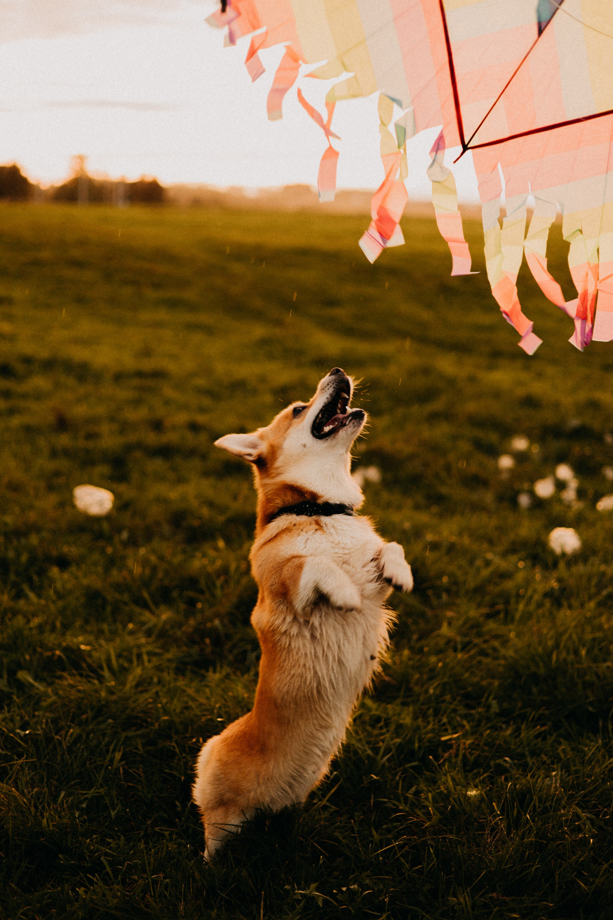 Заметили радугу?. Фотограф Настя Леонова