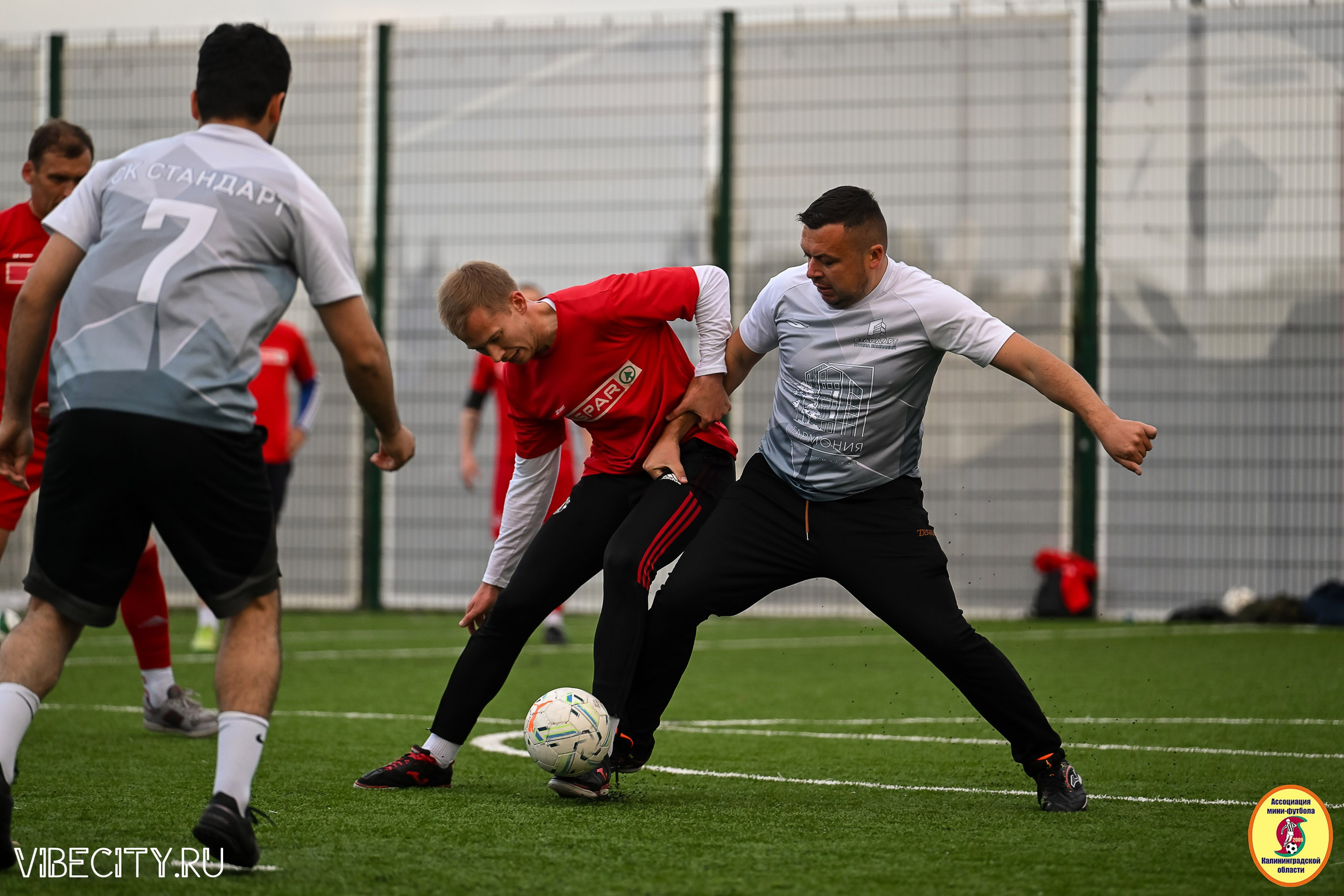 ИГРЫ МИНИ-ФУТБОЛЬНОЙ ЛИГИ. VIBECITY.RU Вайб Сити Ру Фоторепортажи Фотоотчеты Калининград