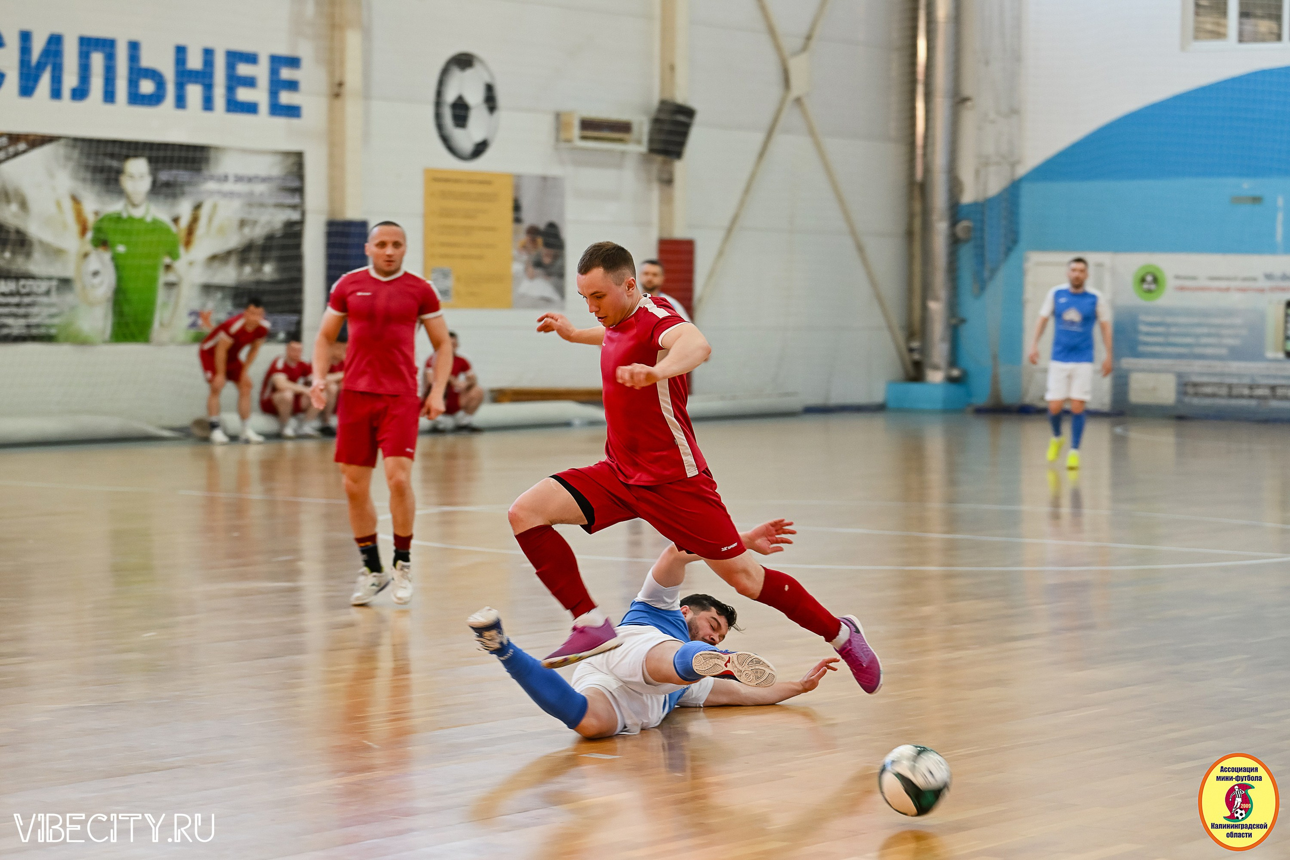 МФЛ СанТермо. VIBECITY.RU Вайб Сити Ру Фоторепортажи Фотоотчеты Калининград