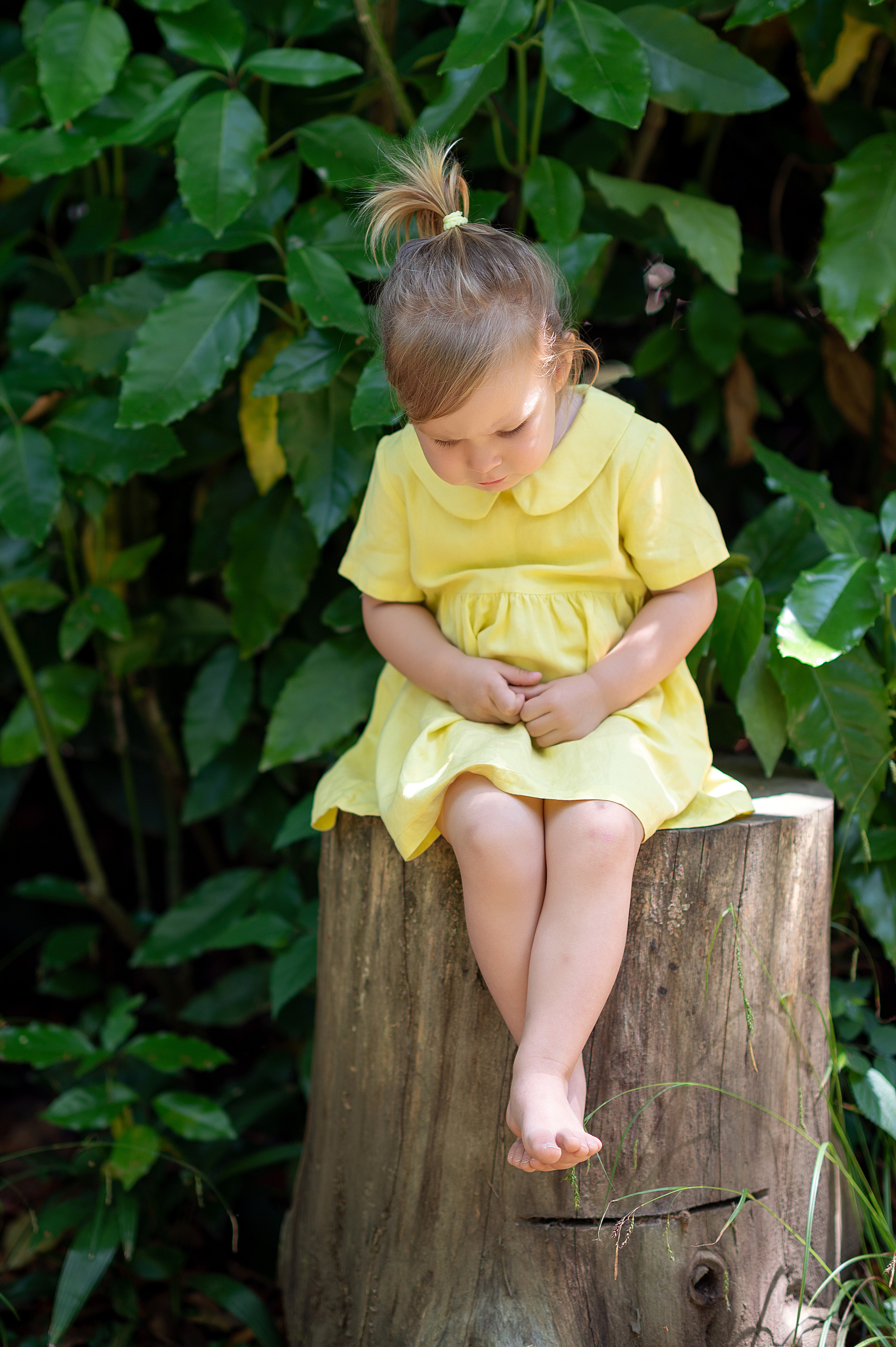 Ботанический сад. Детский фотограф Абхазия
