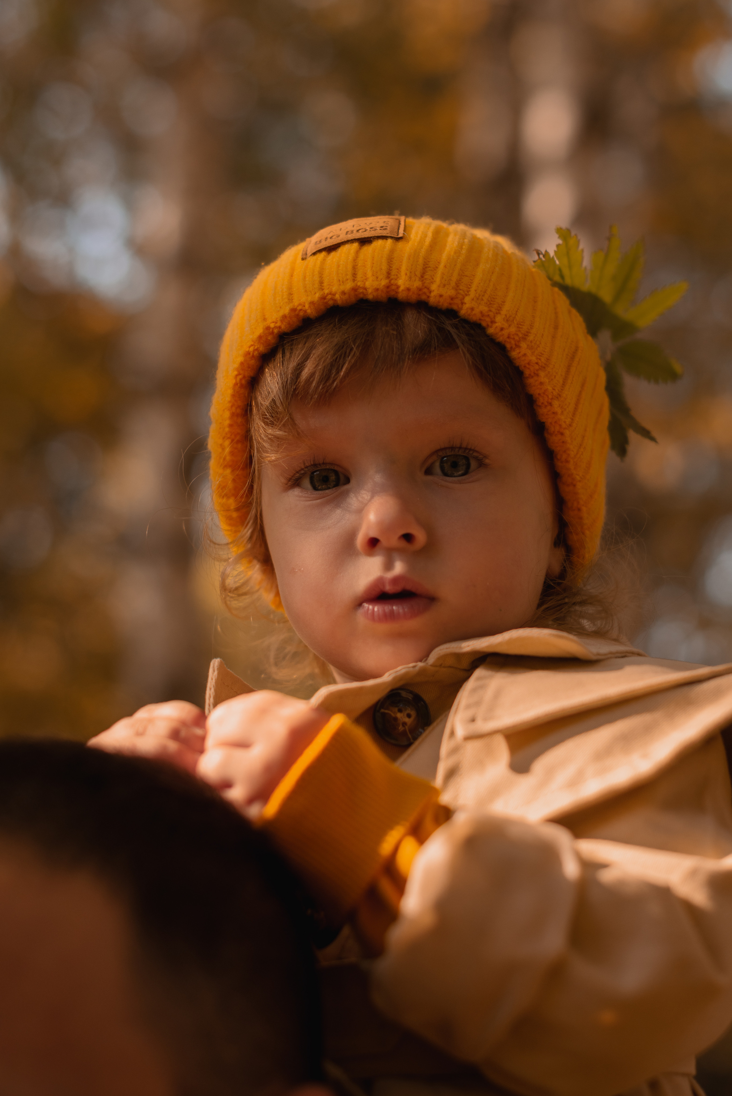 Анна и ее семья🍂. Семейный фотограф в Красноярске