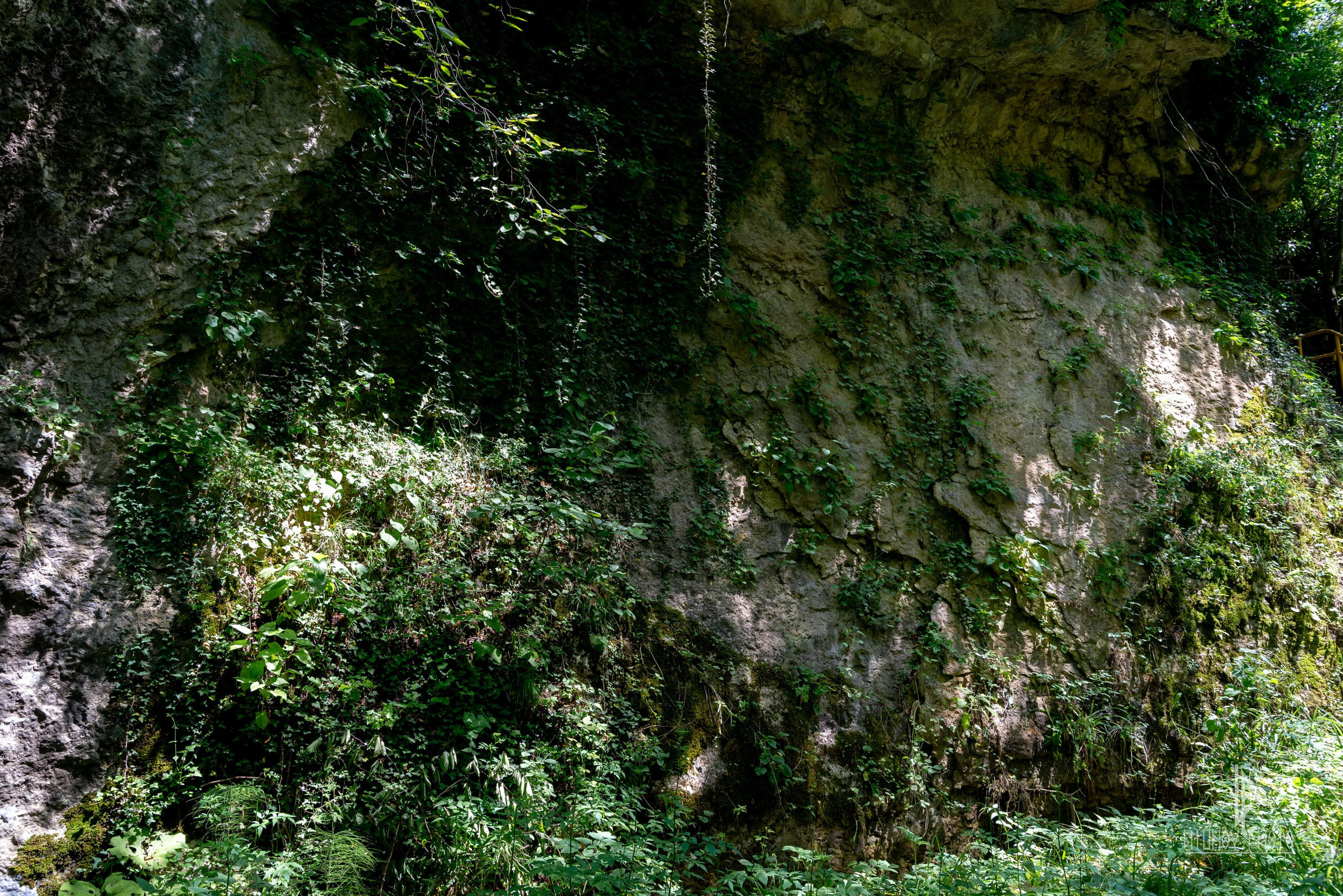 Адыгея. Спортивный и репортажный фотограф Дмитрий Литунов Москва