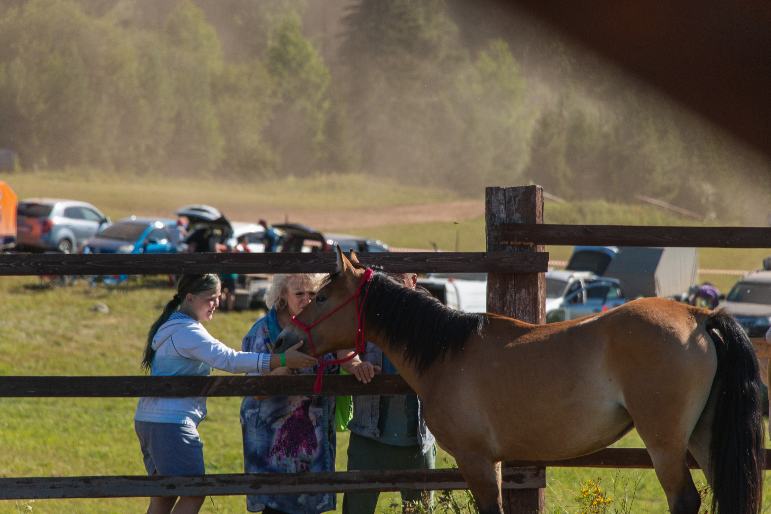 Конь-огонь 2025. Олег Романов. Мастер фото по спорту
