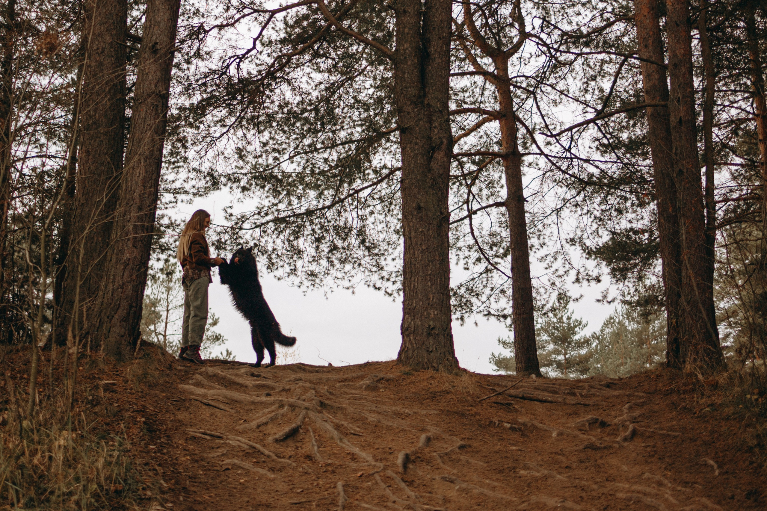 Лора и Джанго. Фотограф — Анималист | Санкт-Петербург