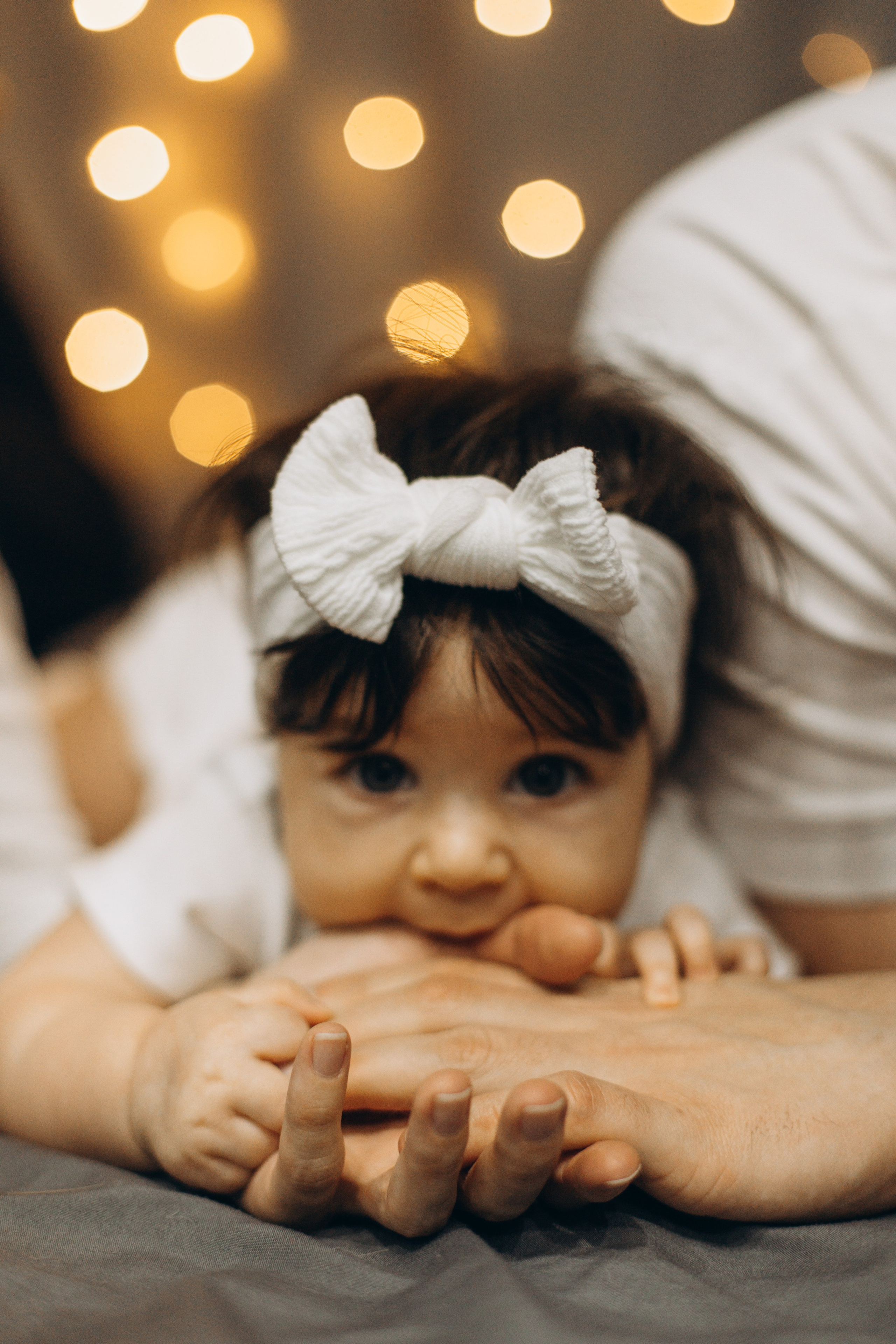 Джой и его семья. Фотограф — Анималист | Санкт-Петербург