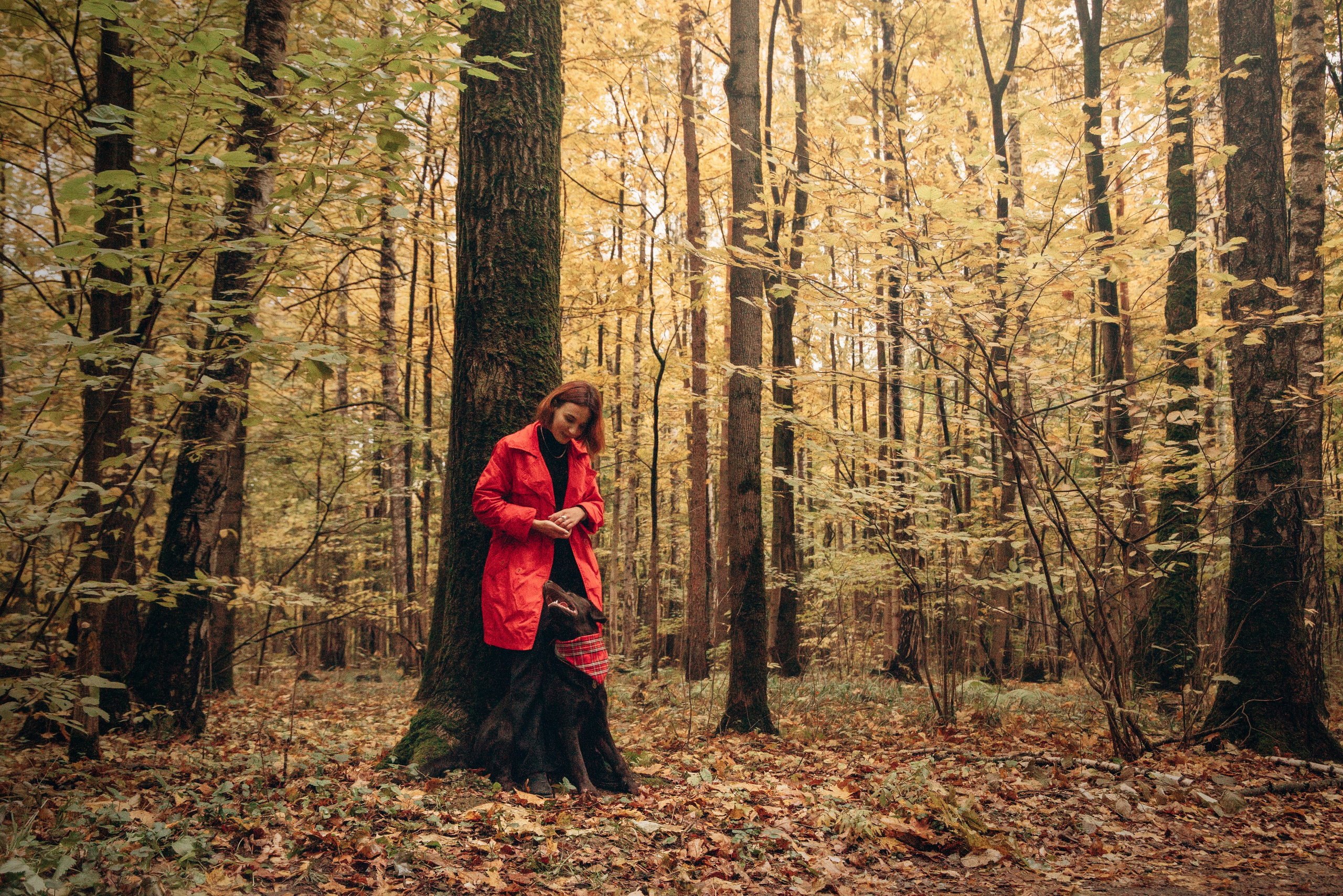 Арина и Сэмми. Фотограф — Анималист | Санкт-Петербург