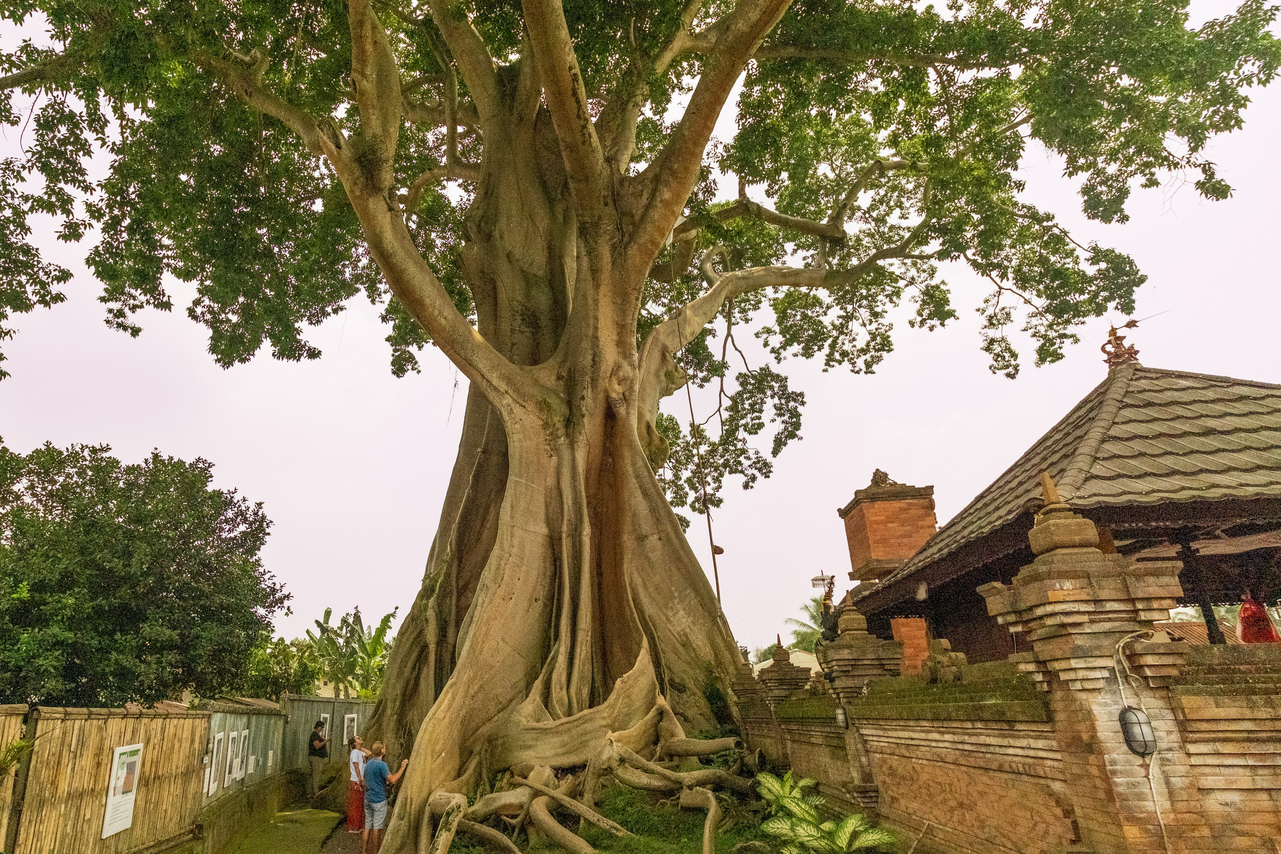 Остров Бали. Фотографии из путешествий