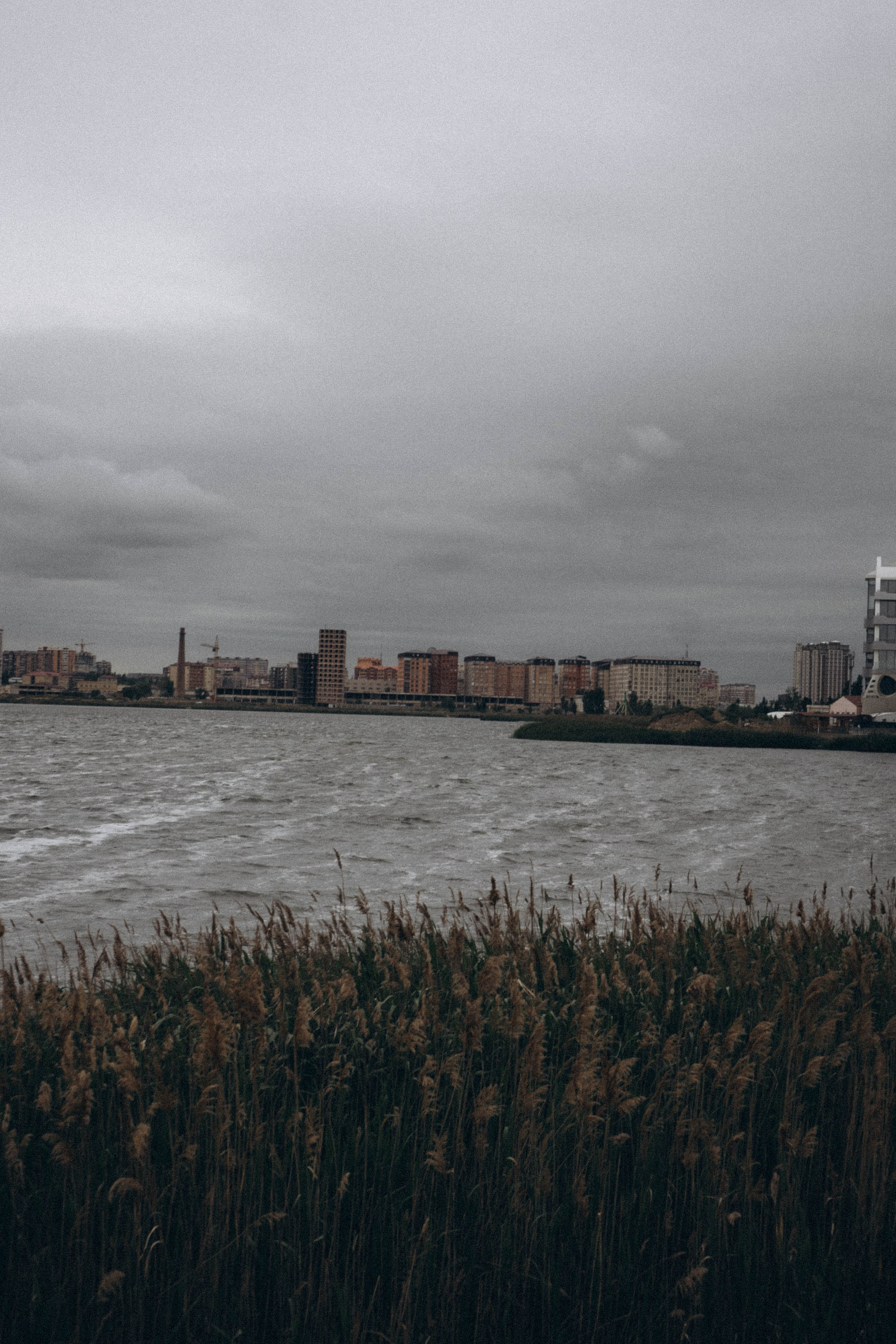 Кавказ. Профессиональный фотограф, Санкт-Петербург — Виктория Богомолова