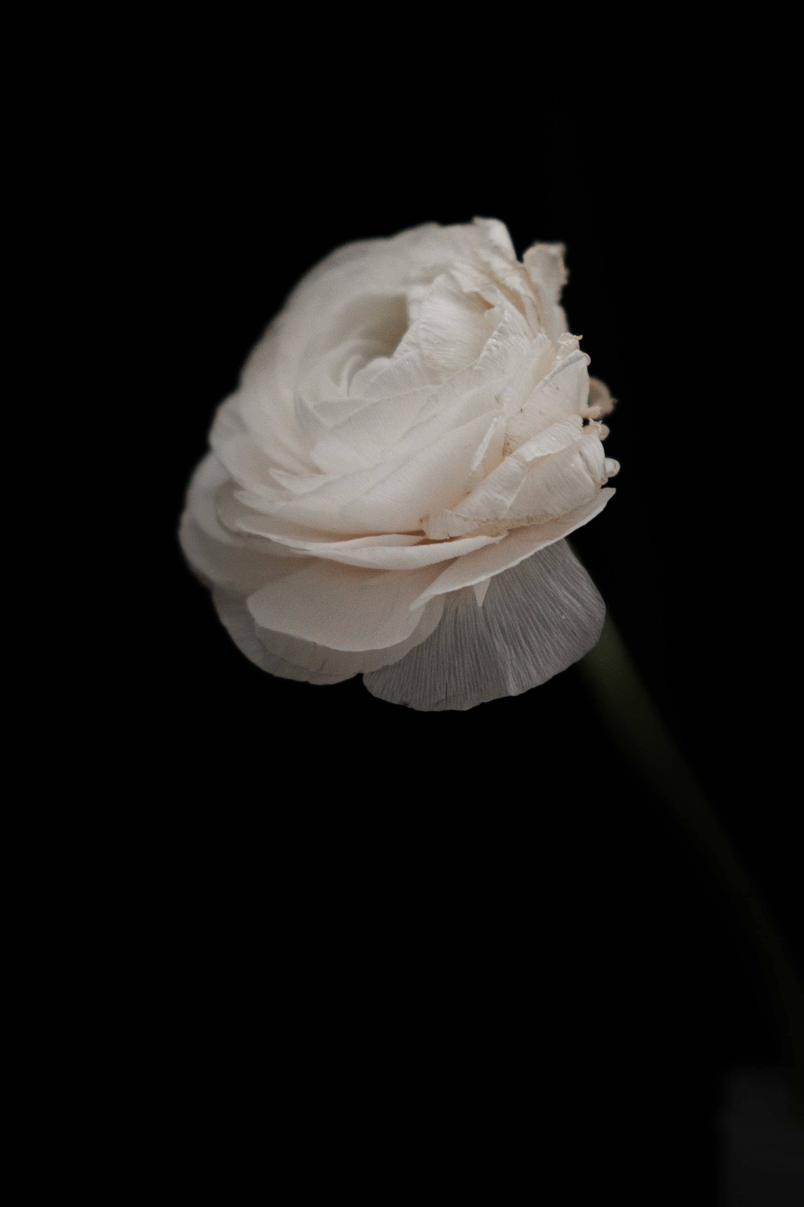 ОТЗЫВЫ. ФОТОГРАФ ХОХЛОВА ИРИНА | МАГАДАН