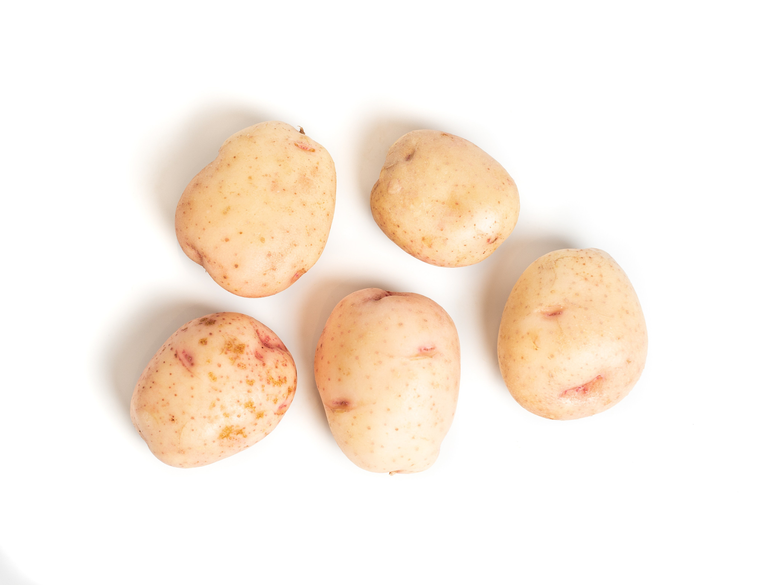 Яндекс Маркет. Предметный и фуд-фотограф в Москве Анна Царенко