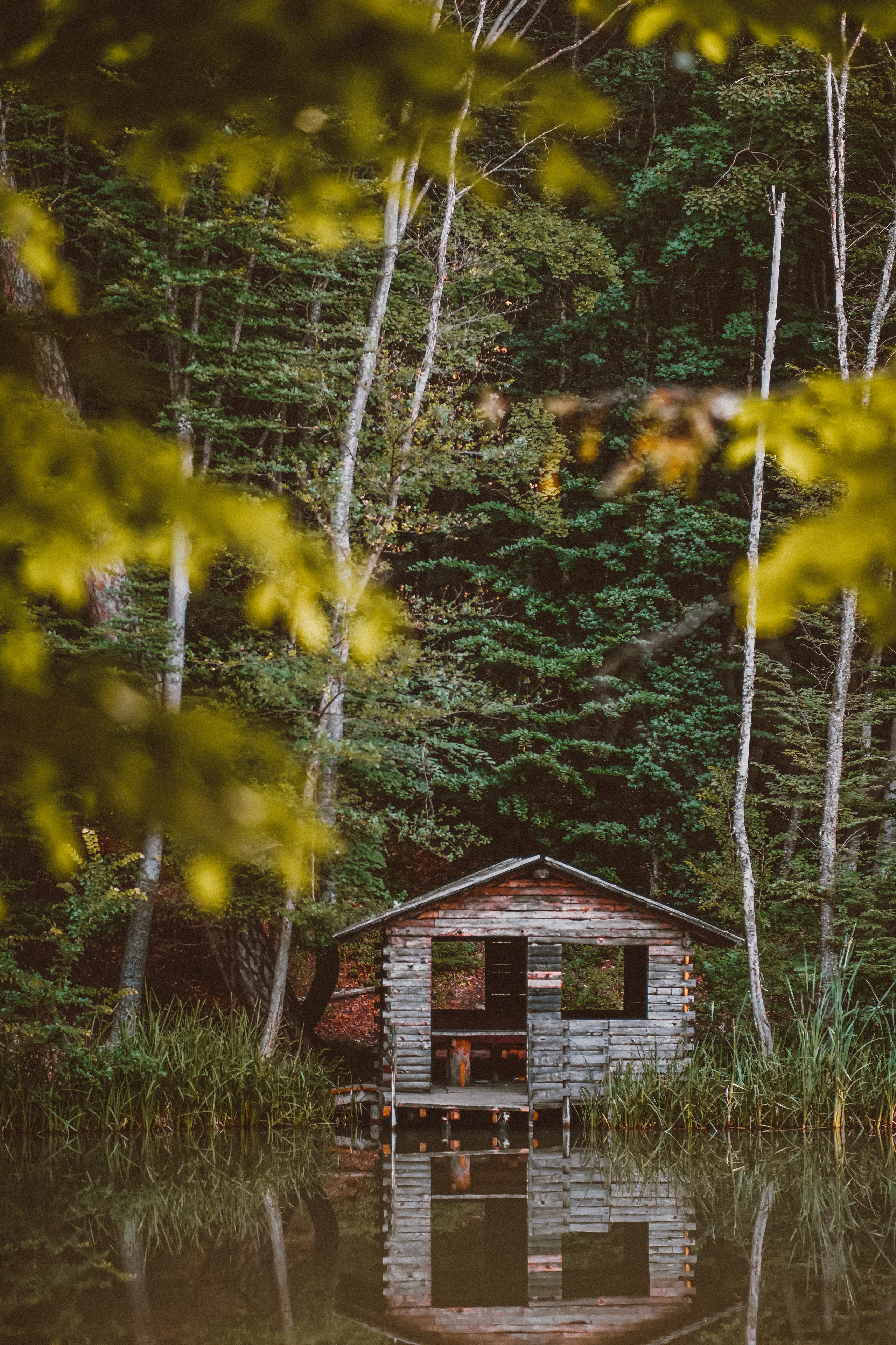 Крым, дорогая в гору Ай-Петри