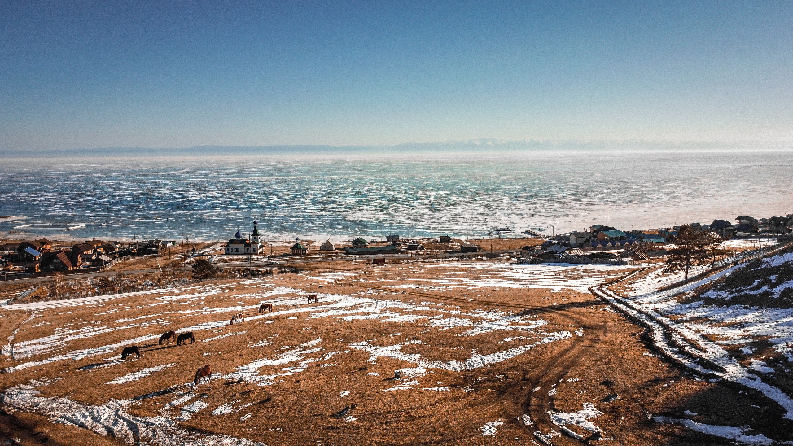 Пасущиеся лошади на фоне Байкала