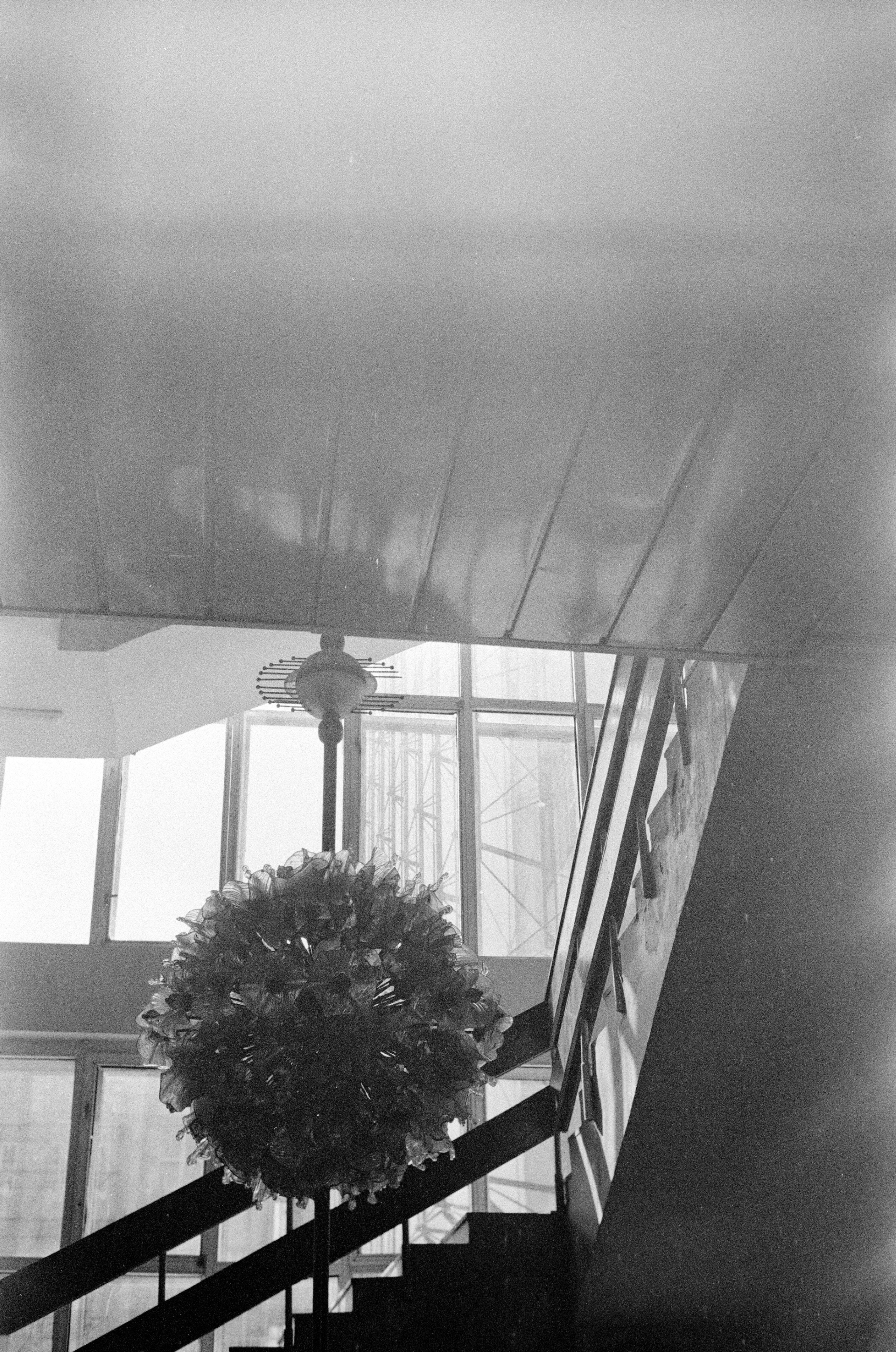 Tashkent 2022-2023. Dima Voronetsky