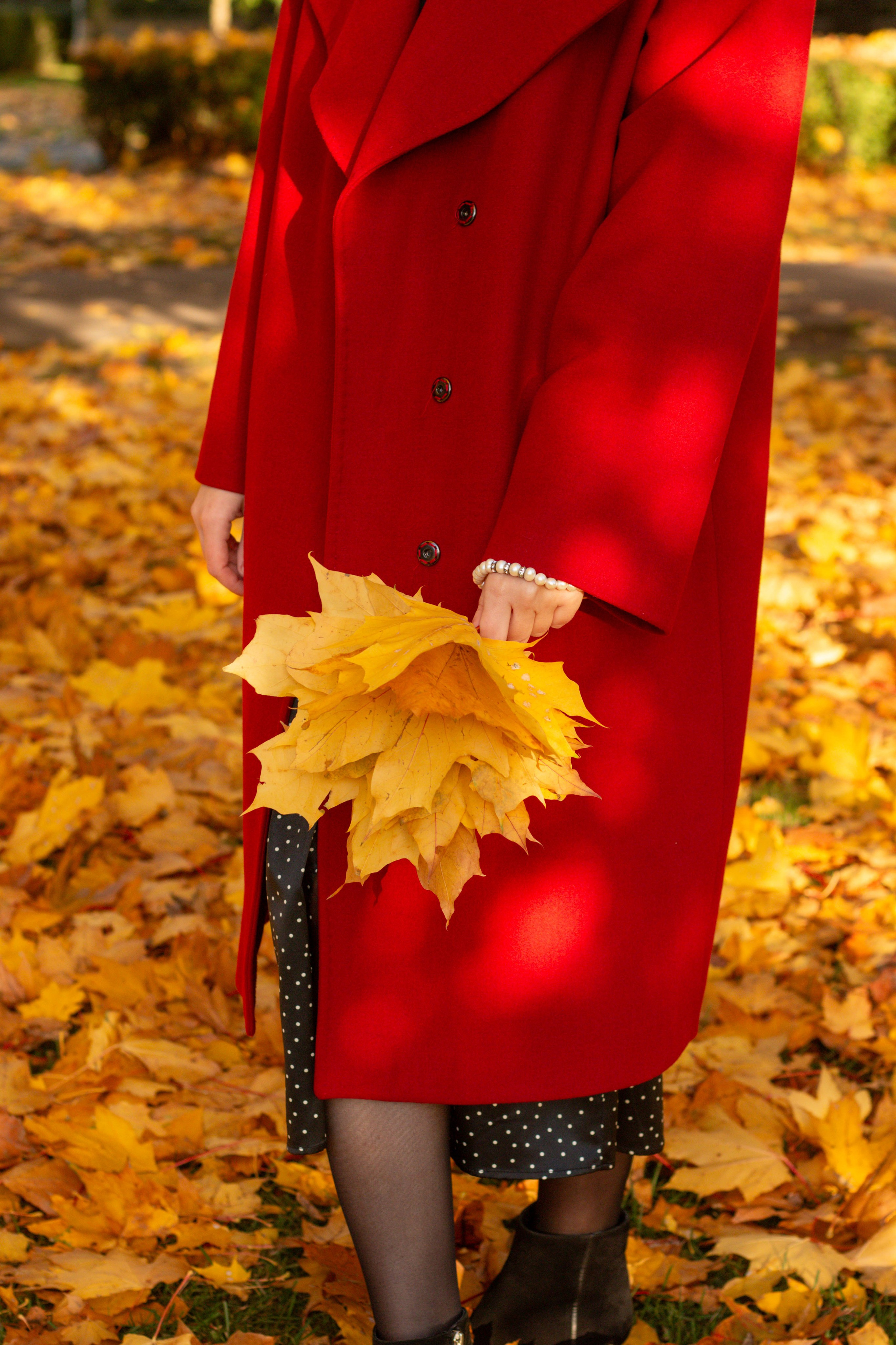 Мария. Осень в Риге. Бережно сохраняю ваши чувства и истории на своих фотографиях