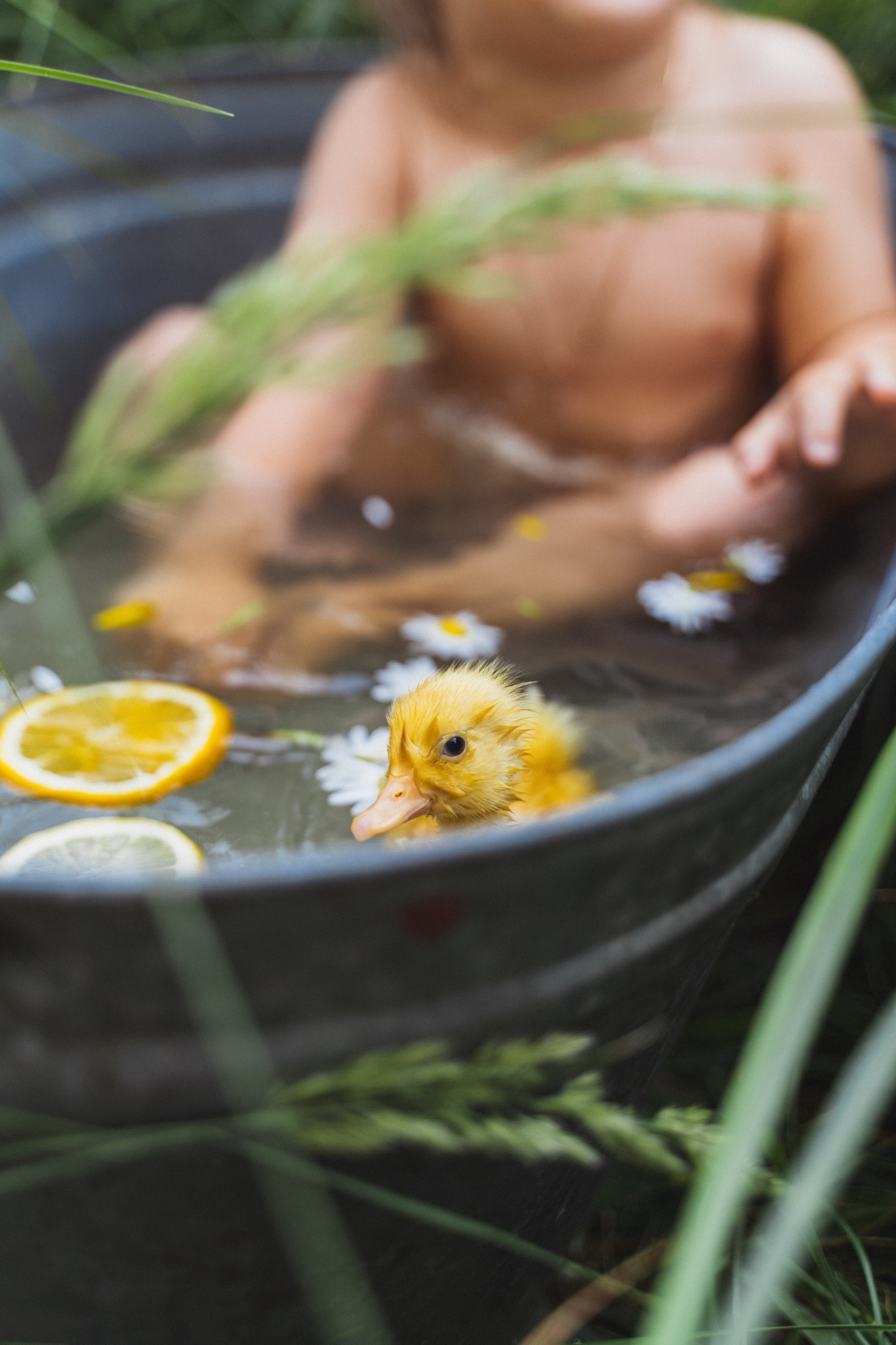 Детские съемки. Женский и семейный лайфстайл фотограф в Уфе Лайт Альбина