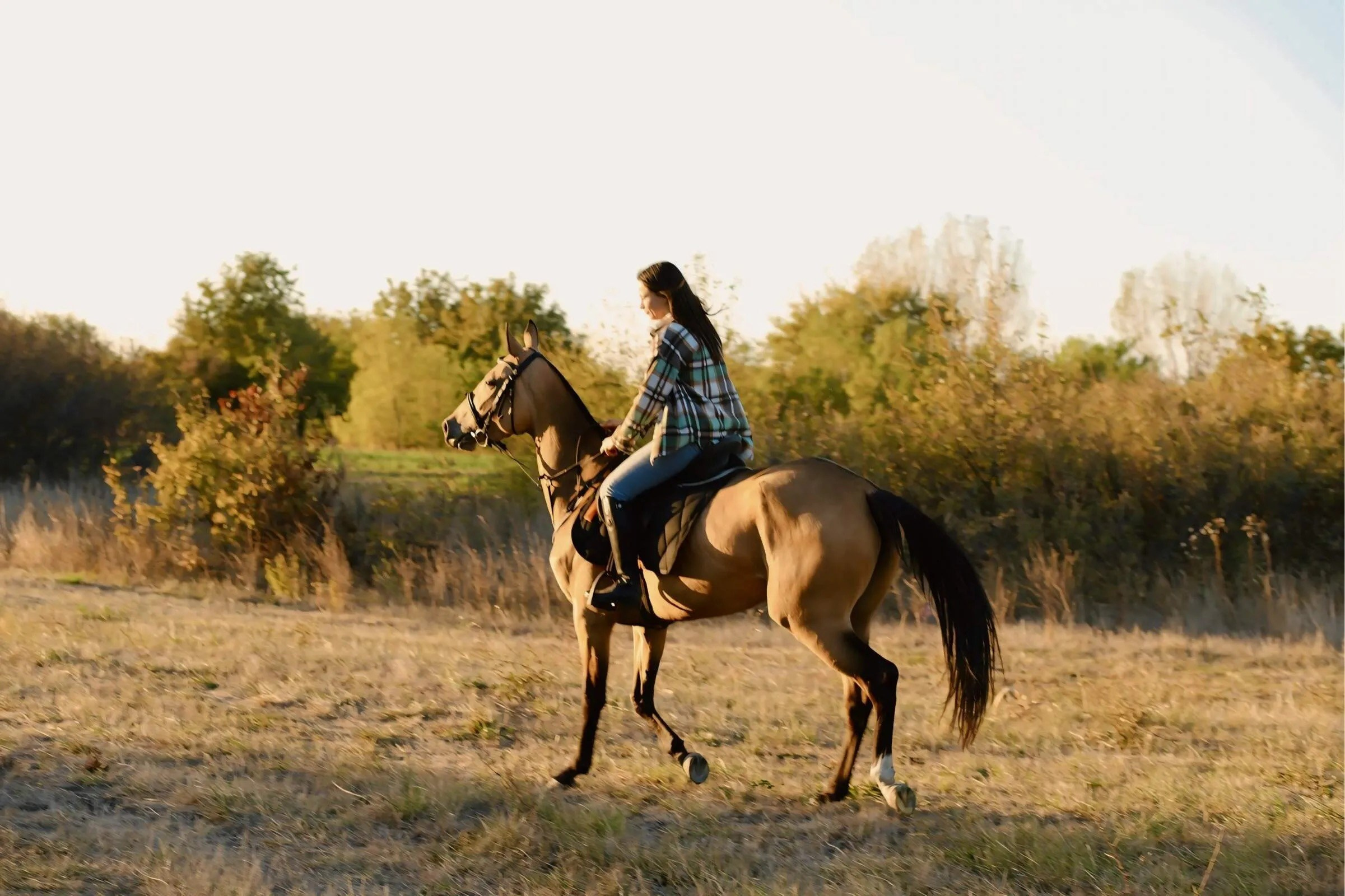 Индивидуальная фотосессия. Семейный и Свадебный фотограф Алиса Малиева