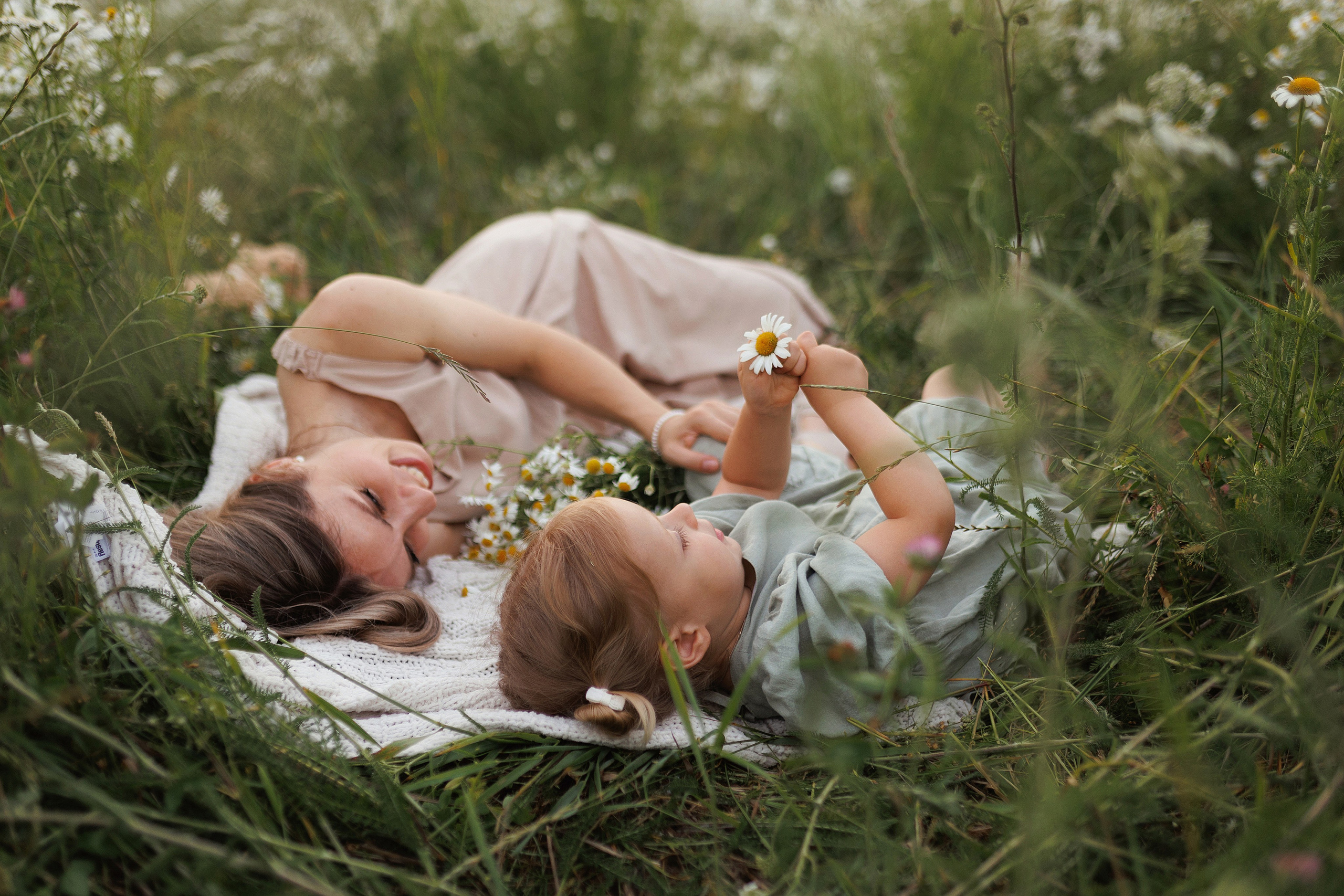 В ромашковом поле. Фотограф в Красногорске и Москве