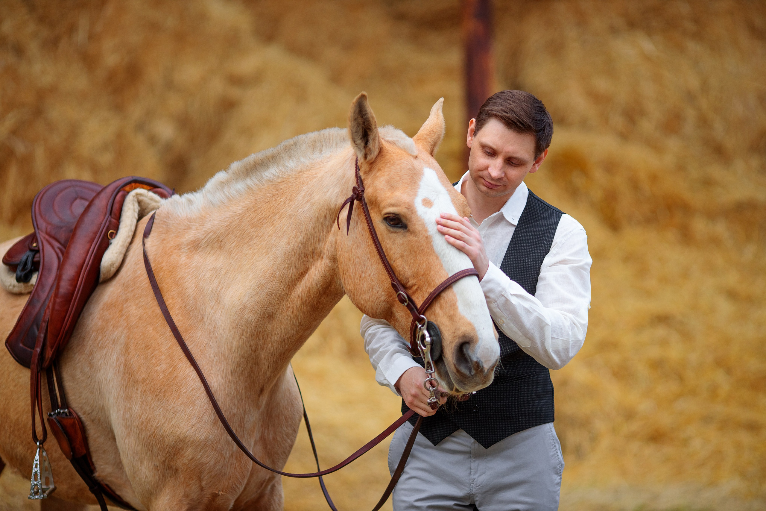 LoveStory с лошадью в Алматы. Свадебный и семейный фотограф в Алматы Алексей Балышев