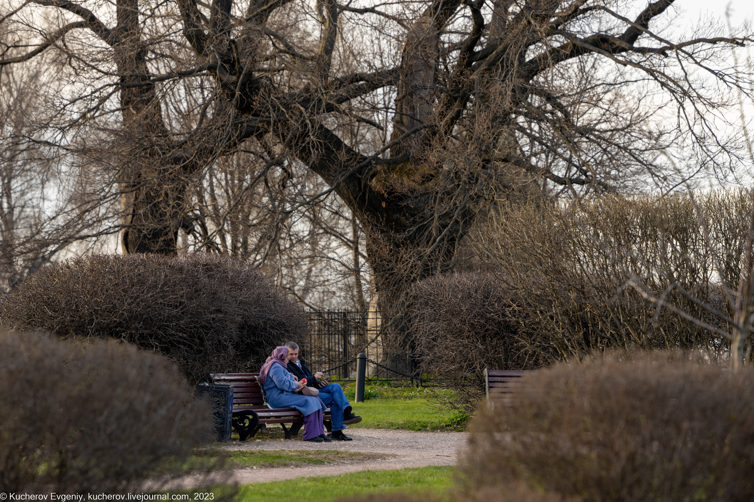 Лучшее. Кучеров Евгений. Фотограф