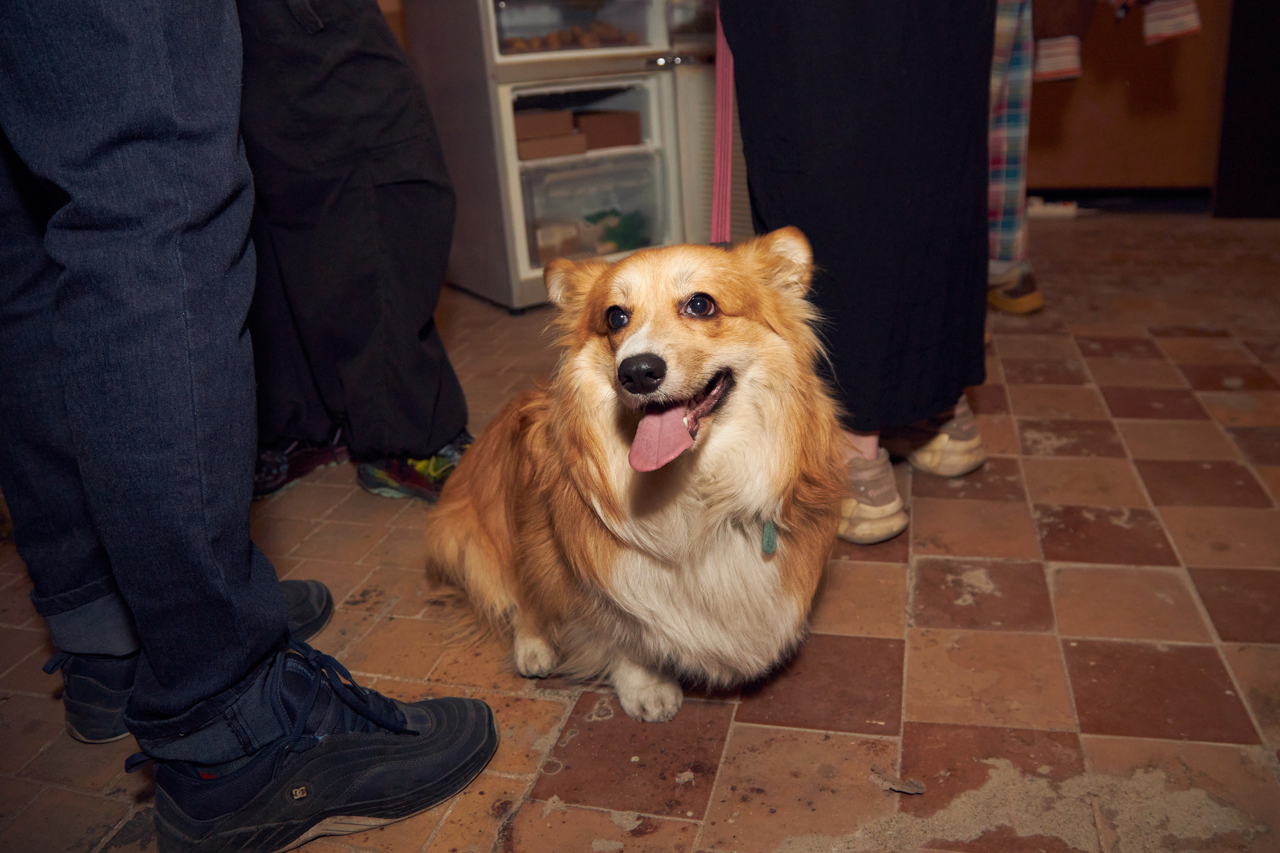 Выставка Cubo Libre. Фотограф Савченко Люба. Москва