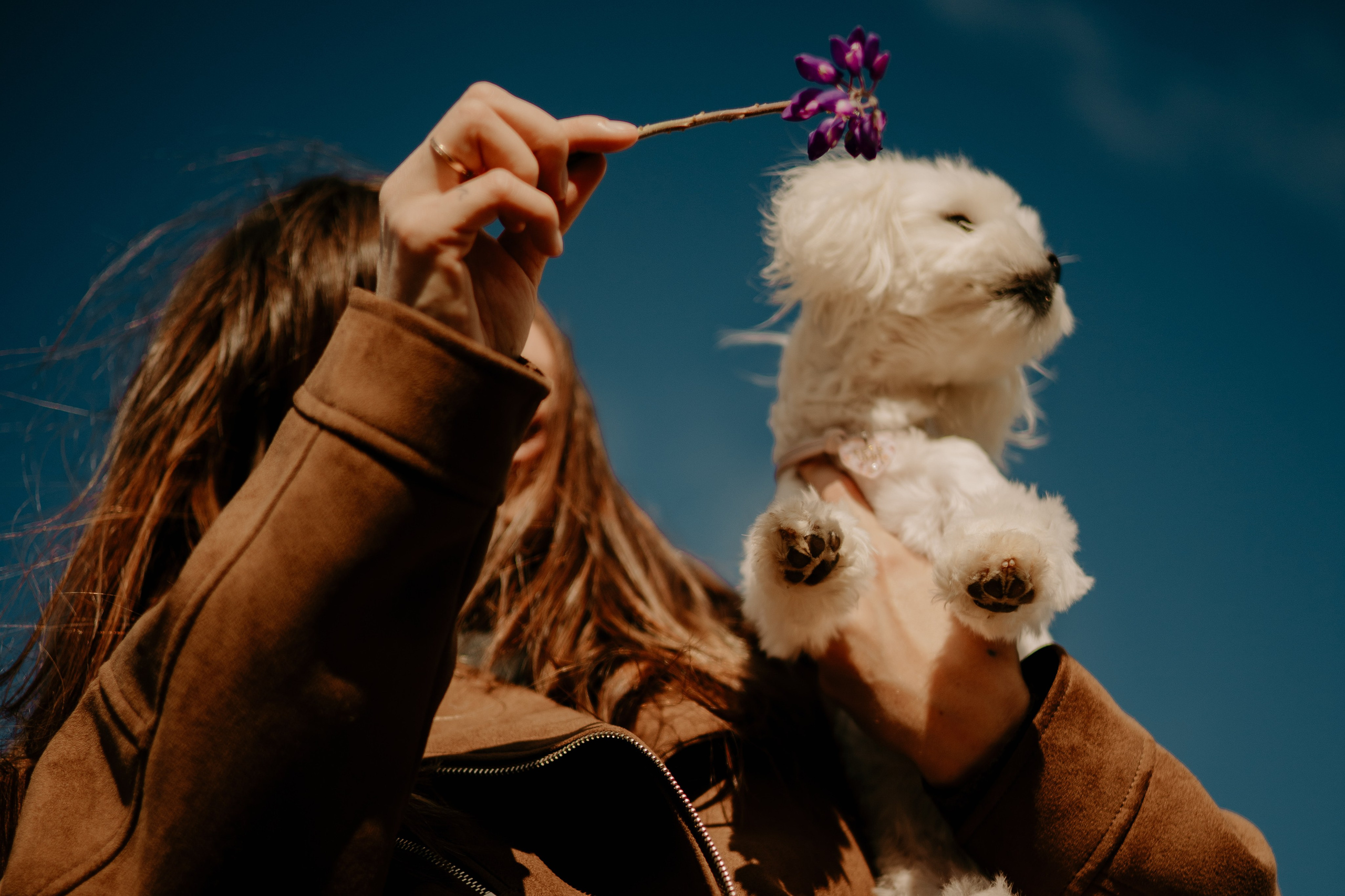 Любовь & Белла. Фотограф — анималист •love-story•|Санкт-Петербург