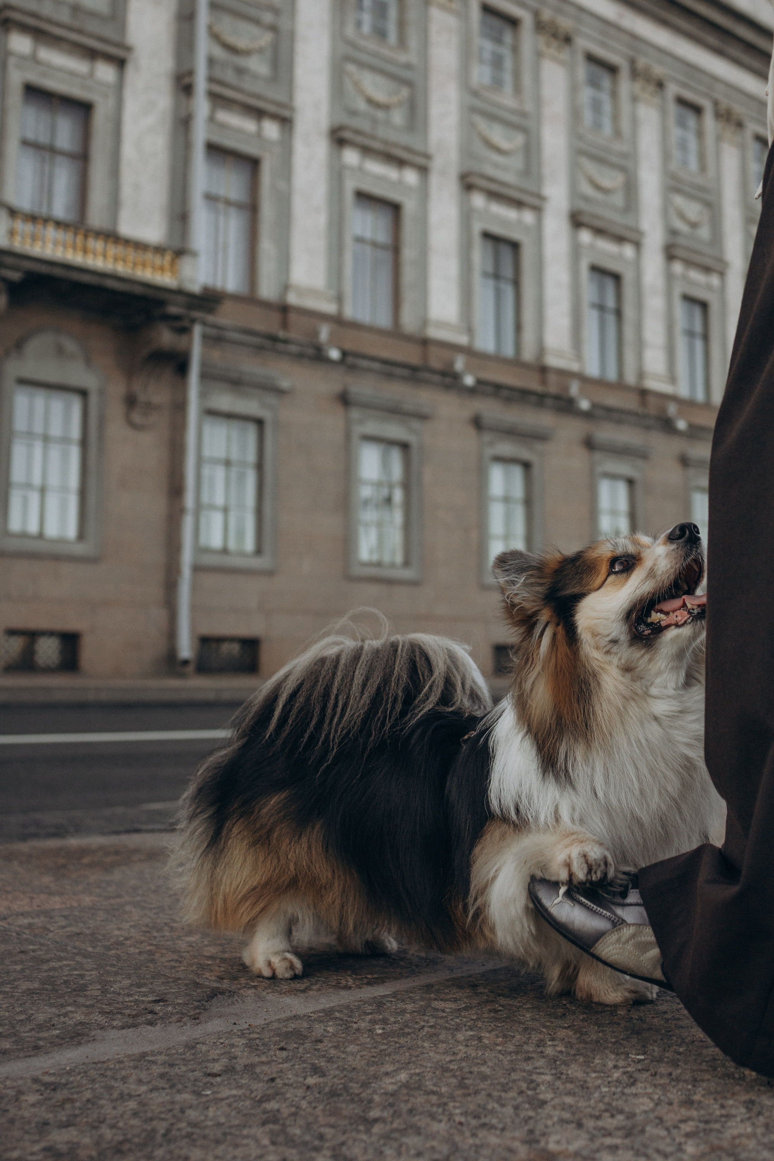 Финик и Полина. Семейный фотограф Питер •love-story•|Санкт-Петербург