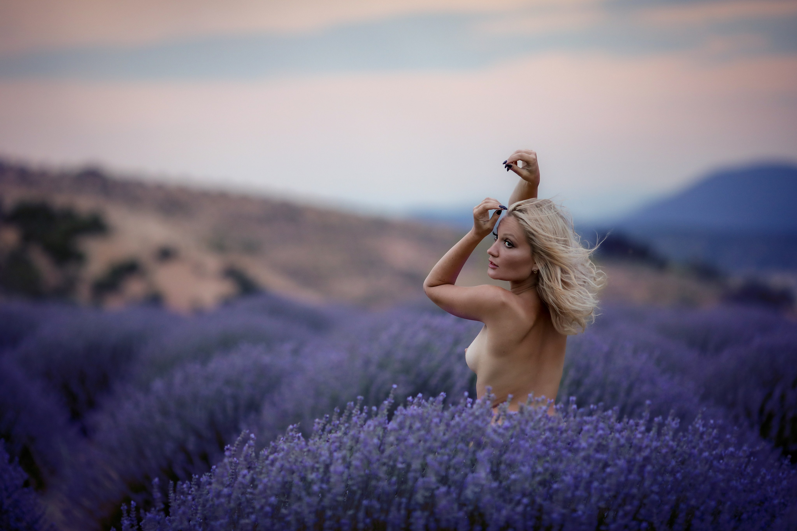 Lavender fields in Turkey