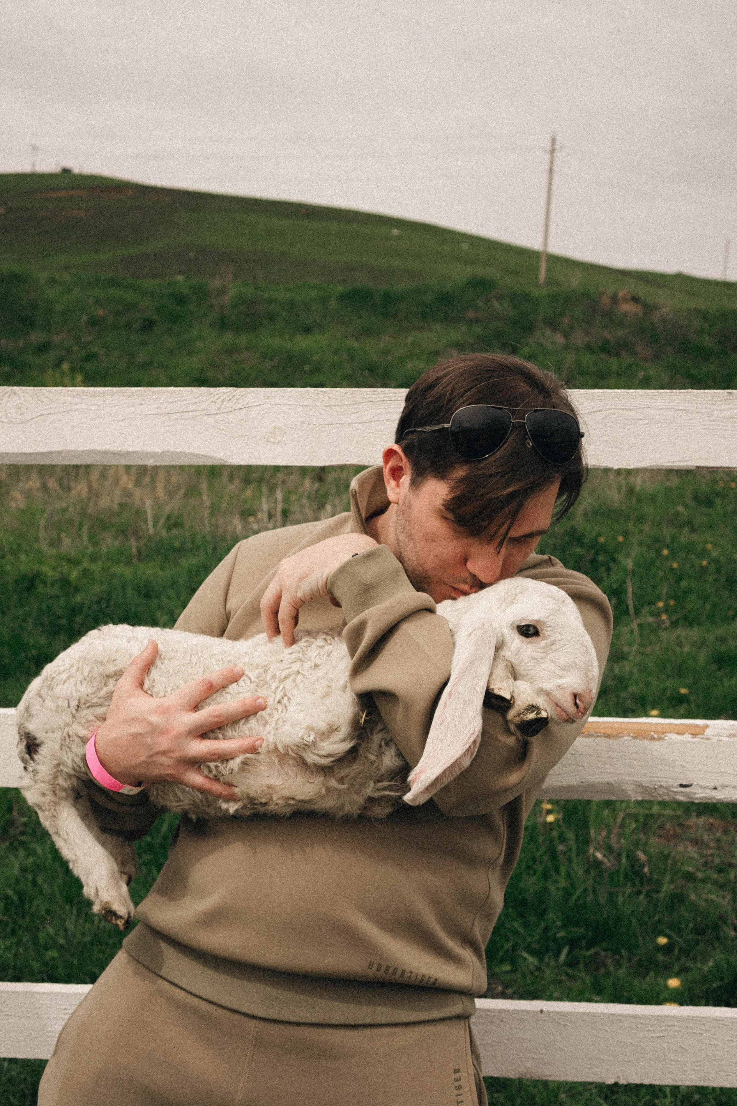 Ферма Альпак. Профессиональный фотограф, Санкт-Петербург — Виктория Богомолова