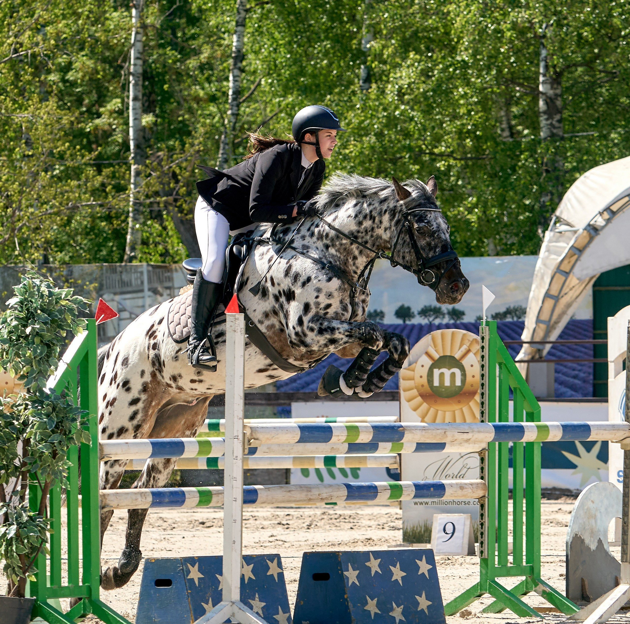 Соревнования на лошадях — галерея NATRIEL