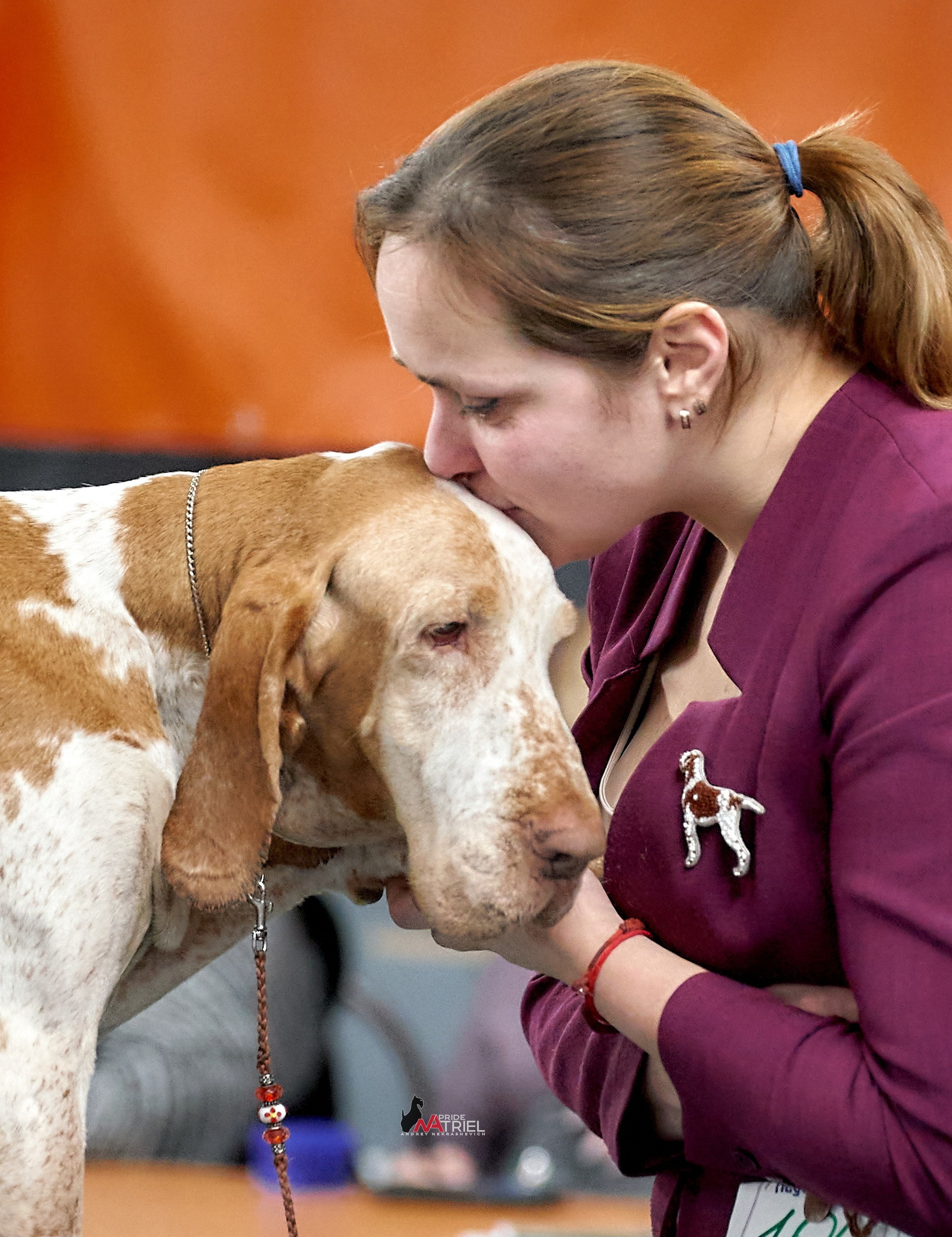 Собаки и Люди — галерея NATRIEL