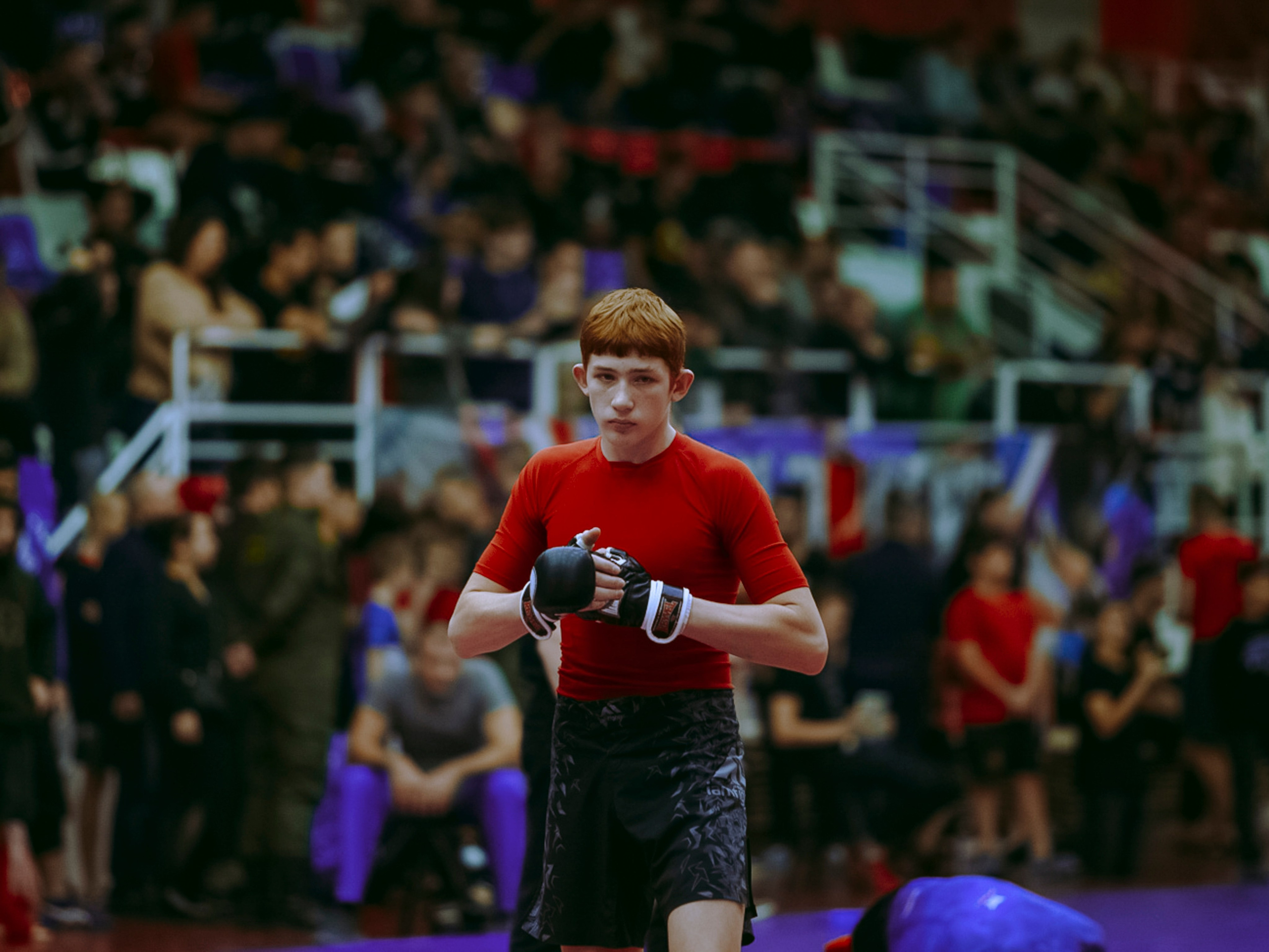 Кубок России по спортивной борьбе панкратион `23. Портретный фотограф в Москве Дарья Цезария