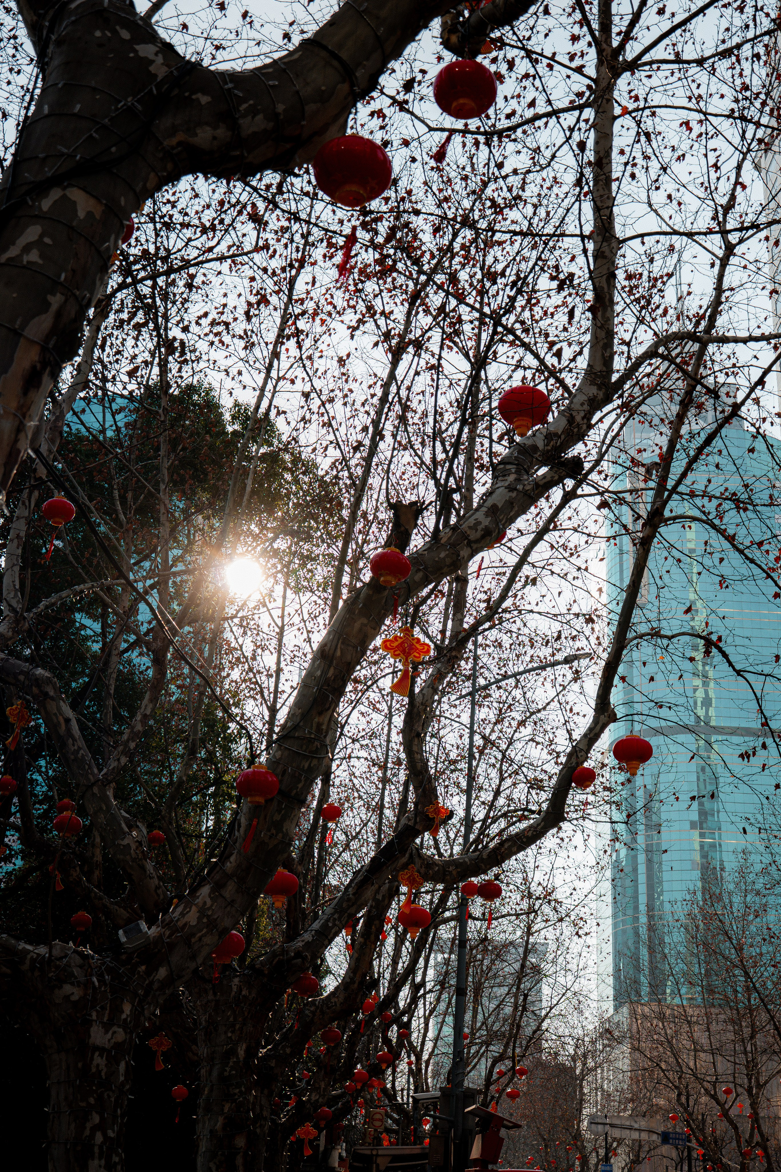 ШАНХАЙ 2026. Фото| Видео продакшн | Александр Ярков