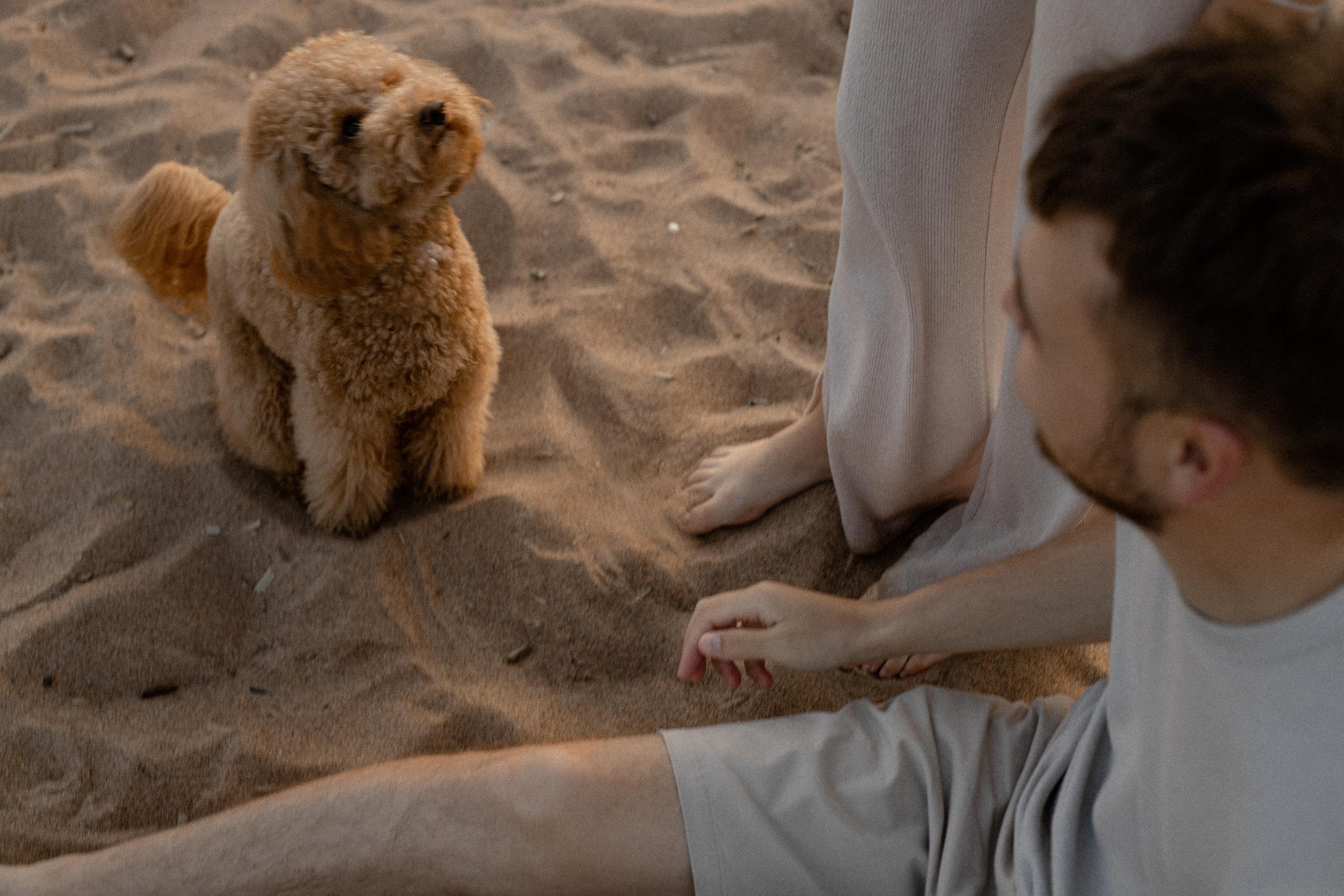 Леша|Саша. Свадебный фотограф Таня Караисаева