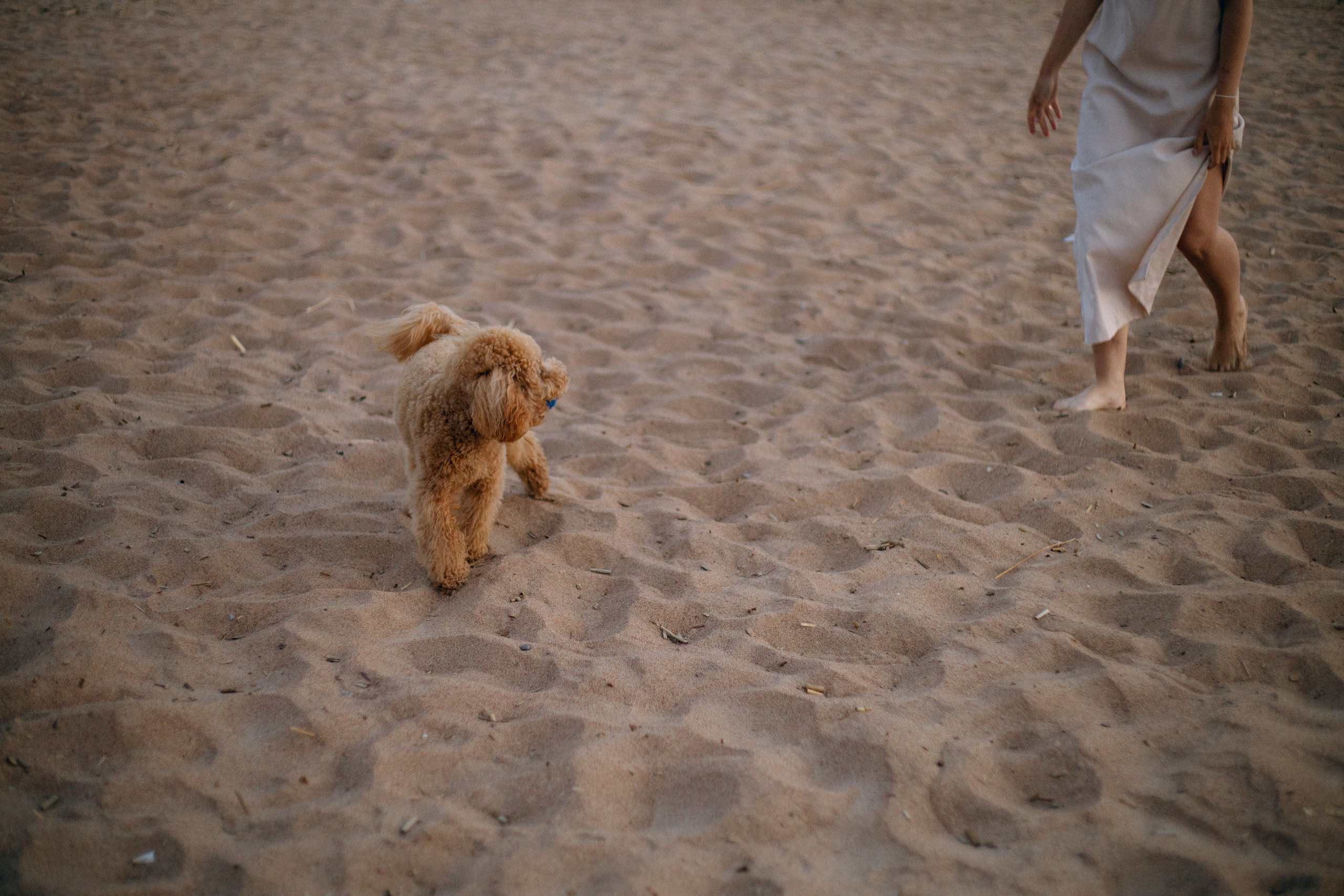 Леша|Саша. Свадебный фотограф Таня Караисаева