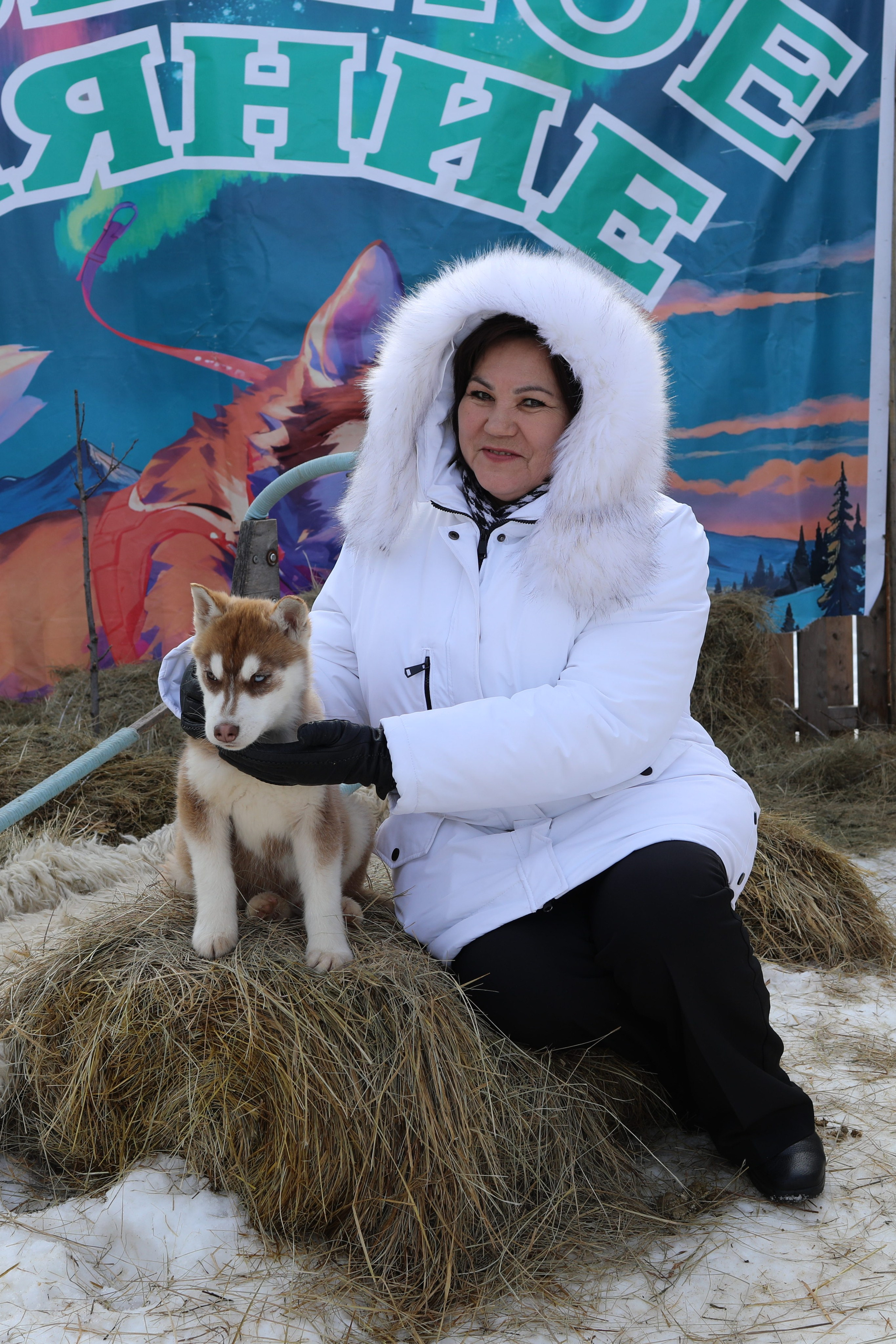 Наши партнеры. Иволга74