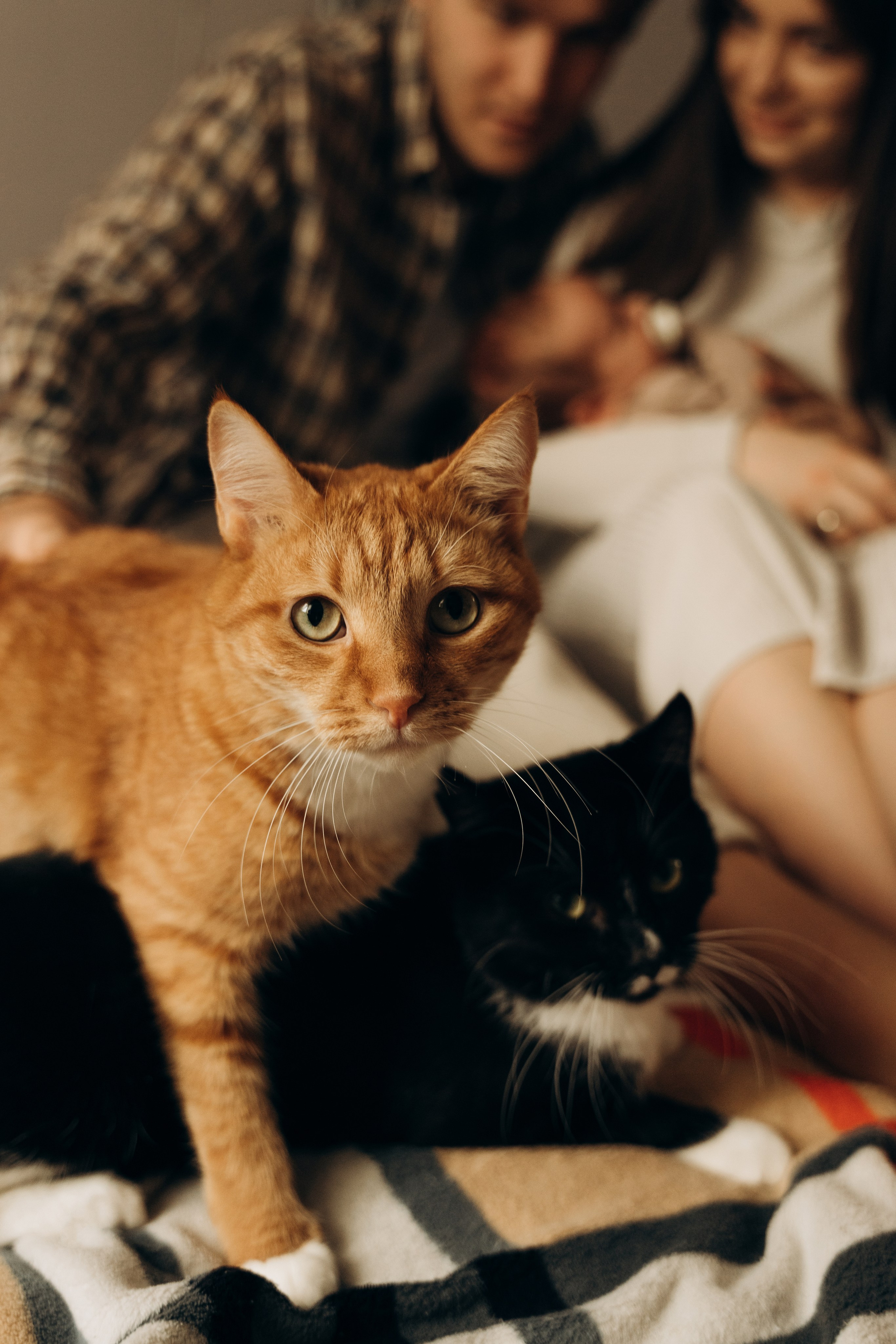 Полина, Ян и Сева. Фотограф в Минске — Мария Миллс