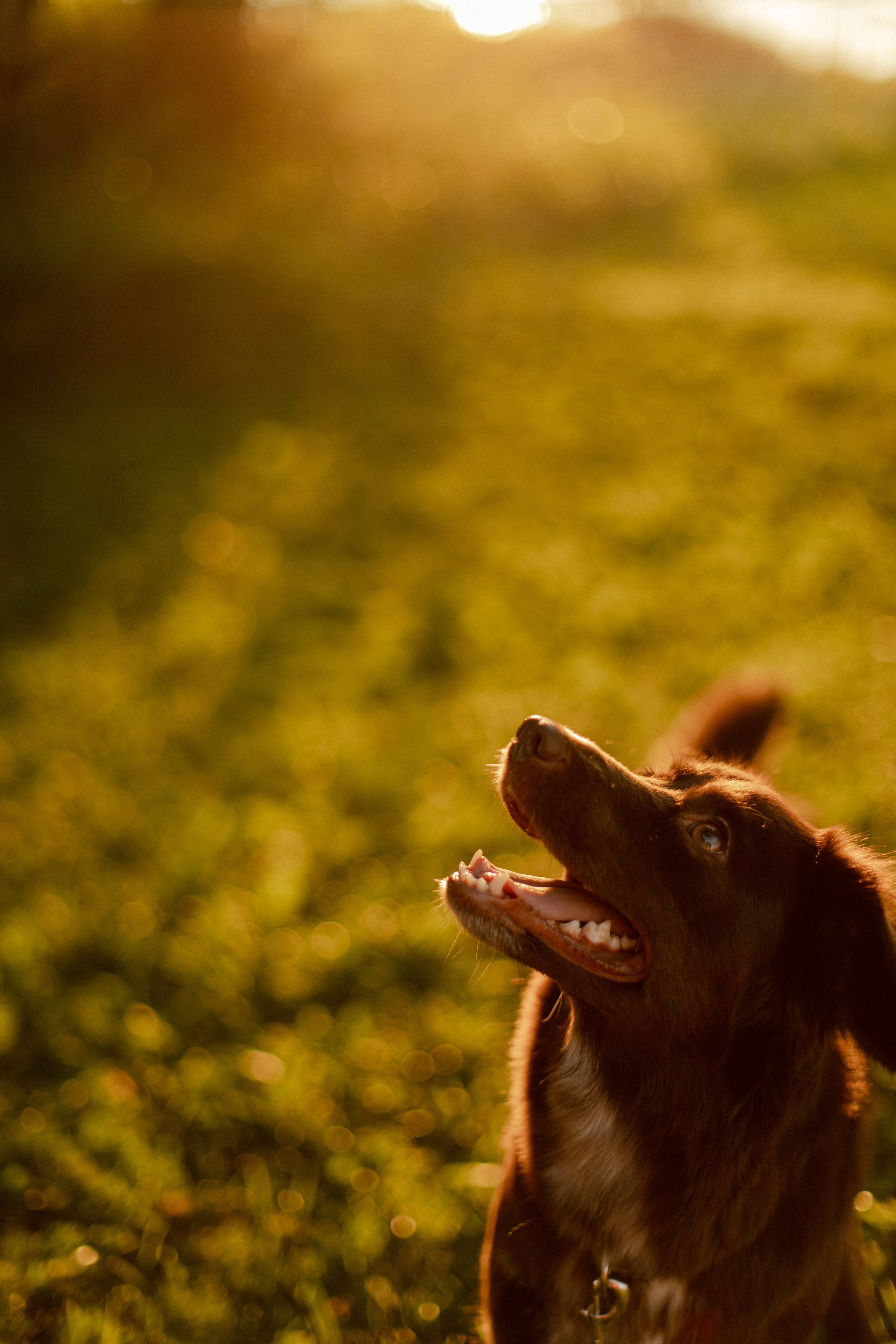 Аня и Семен. Семейный фотограф Челябинск