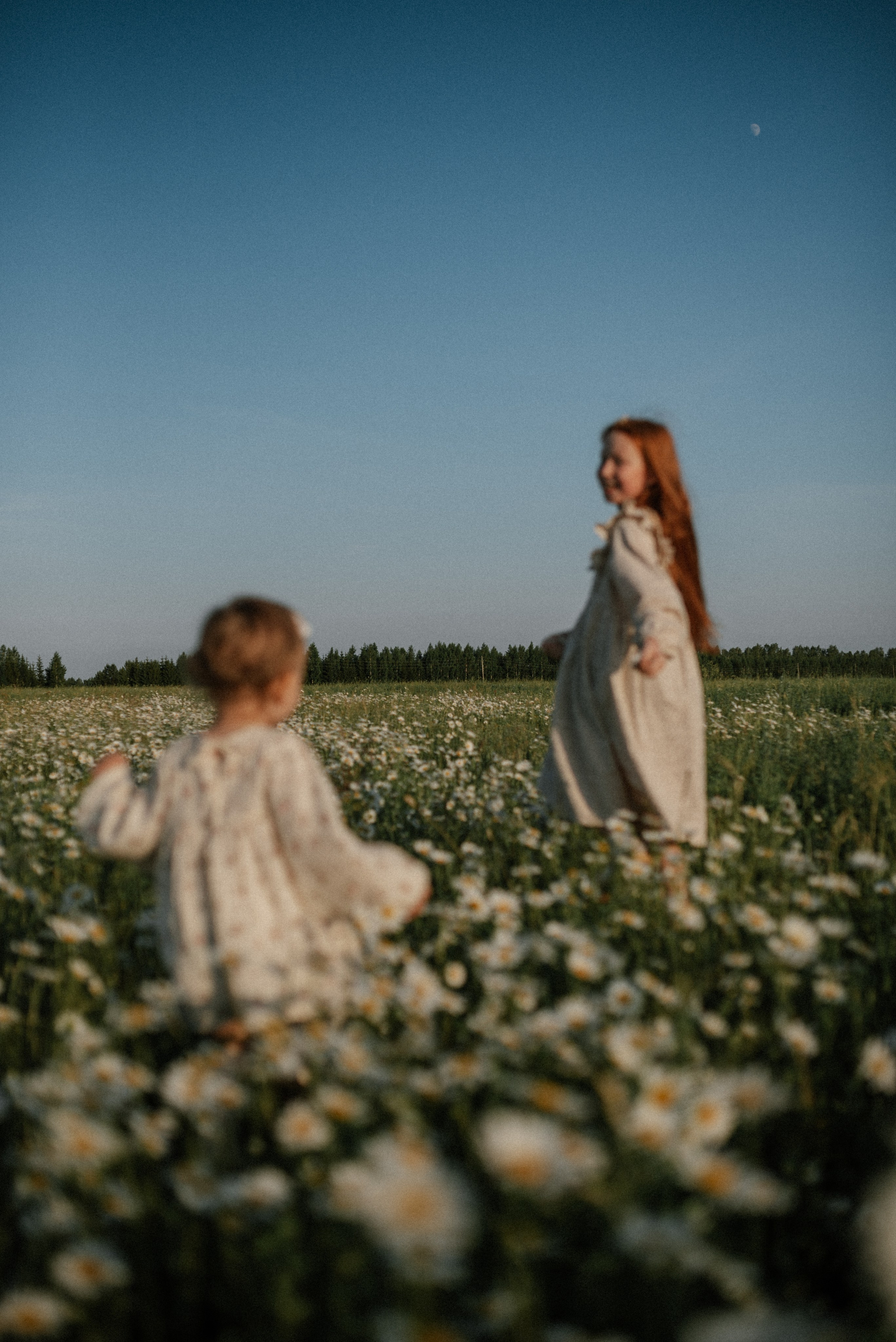 Ида, Мира и ромашки. Свадебный и семейный фотограф Кожевникова Лариса