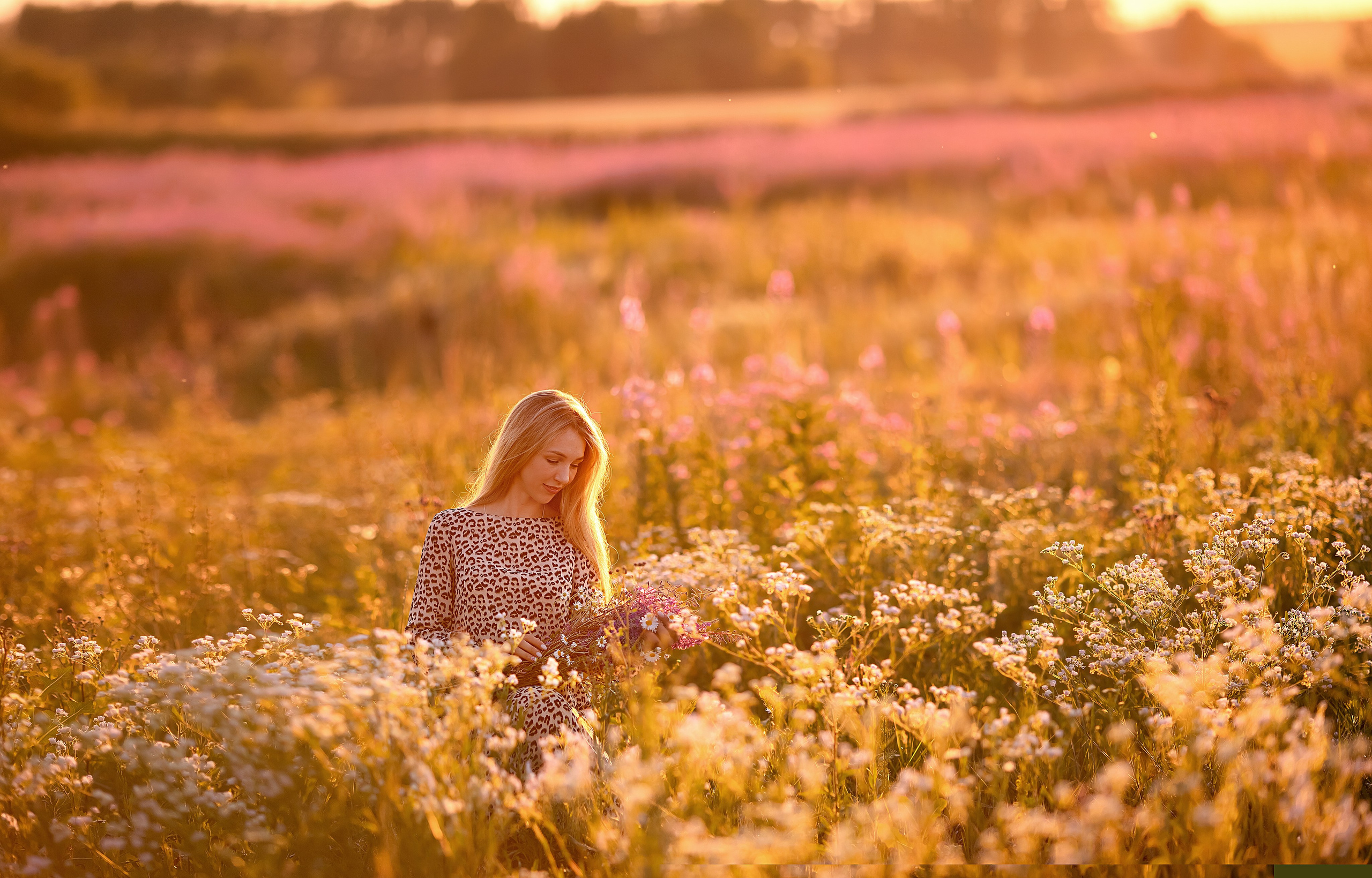 Все цветы для Дарьи на закате. Ольга Смирнова юрист, фотограф