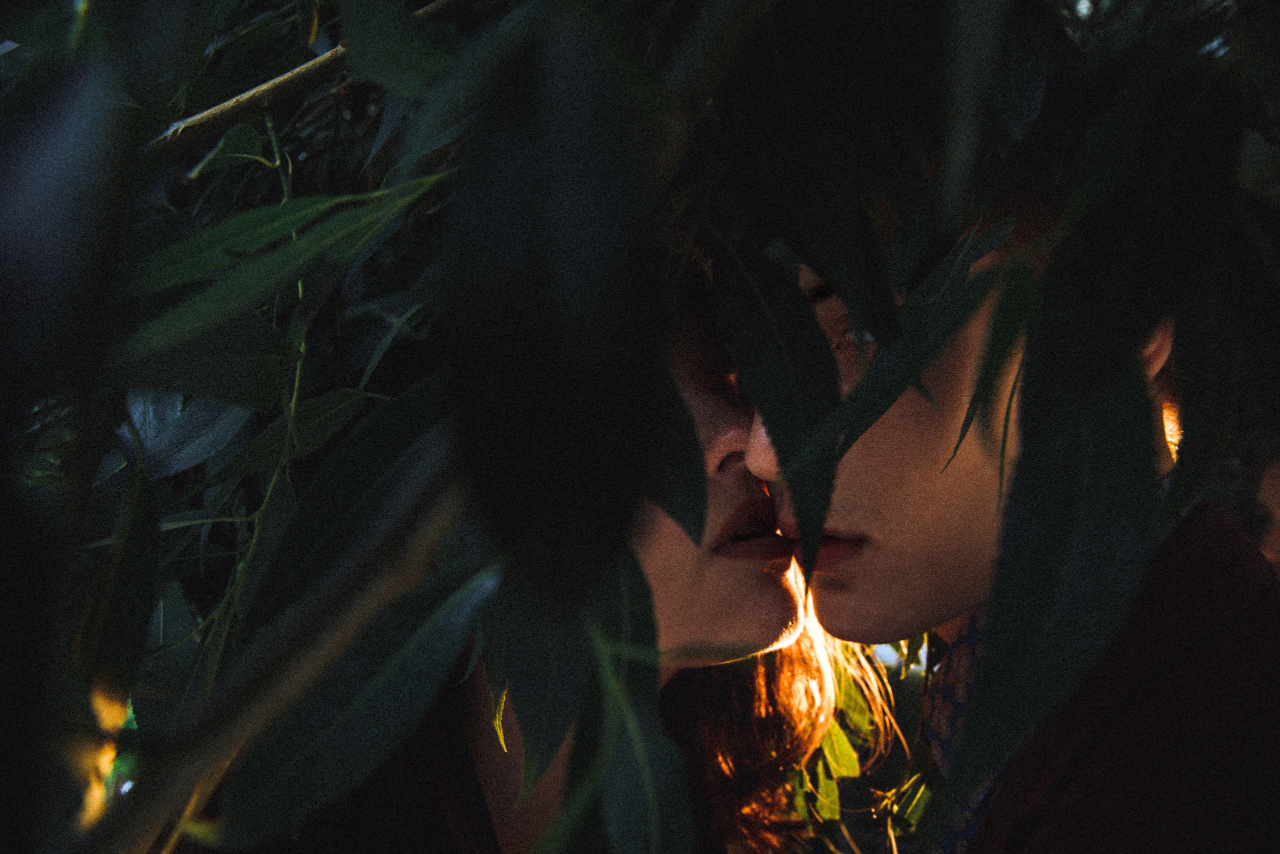 Wedding Photographer Tel-Aviv