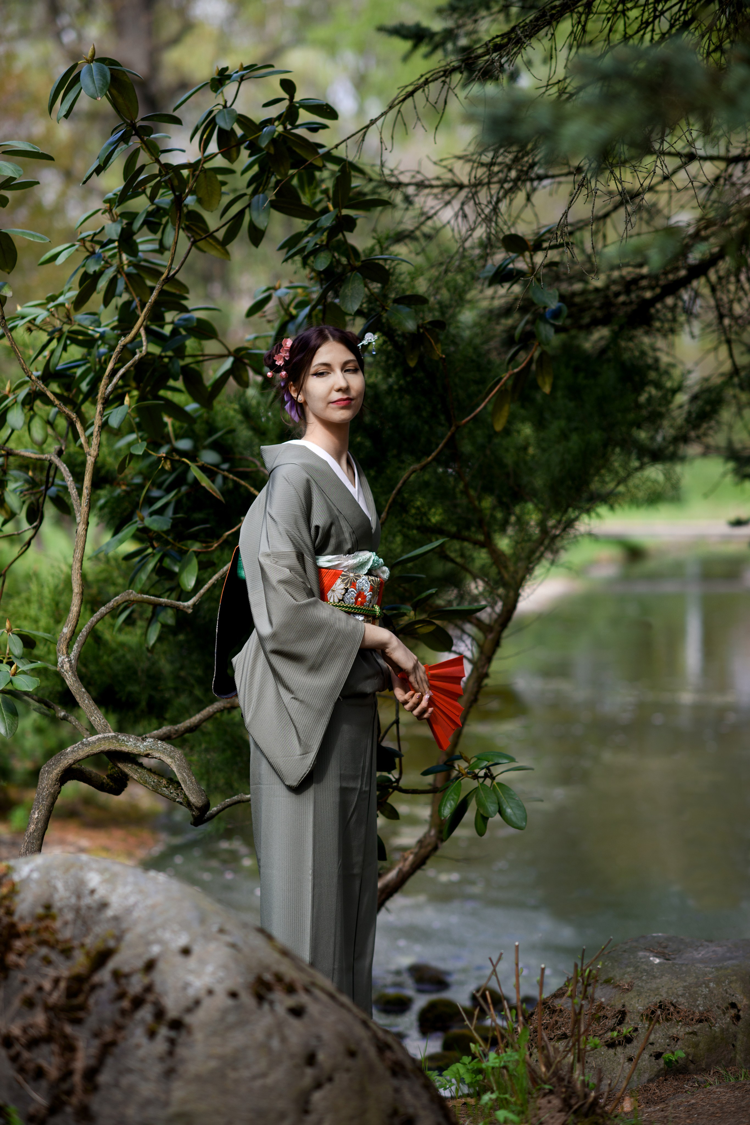 Любование цветением сакуры в Японском саду. Главная